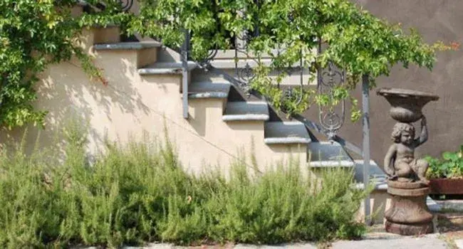 Facade/entrance in Albergo l'Ostelliere - Villa Sparina Resort Facade/entrance in Albergo l'Ostelliere - Villa Sparina Resort