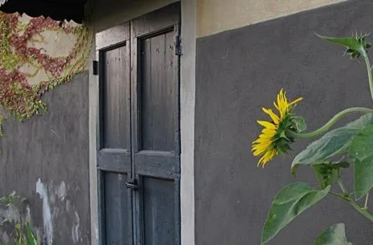 Decorative detail in Albergo l'Ostelliere - Villa Sparina Resort