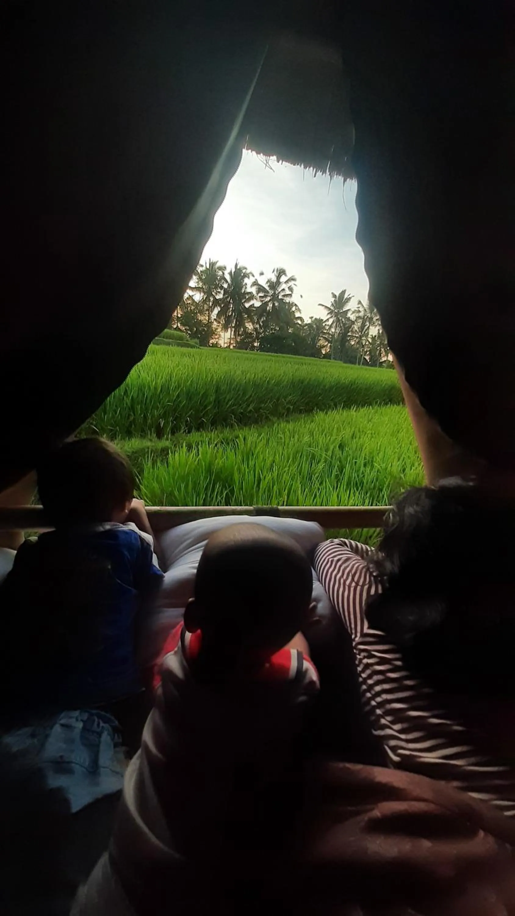 Garden view in Swaha Retreat & Eco Park Ubud