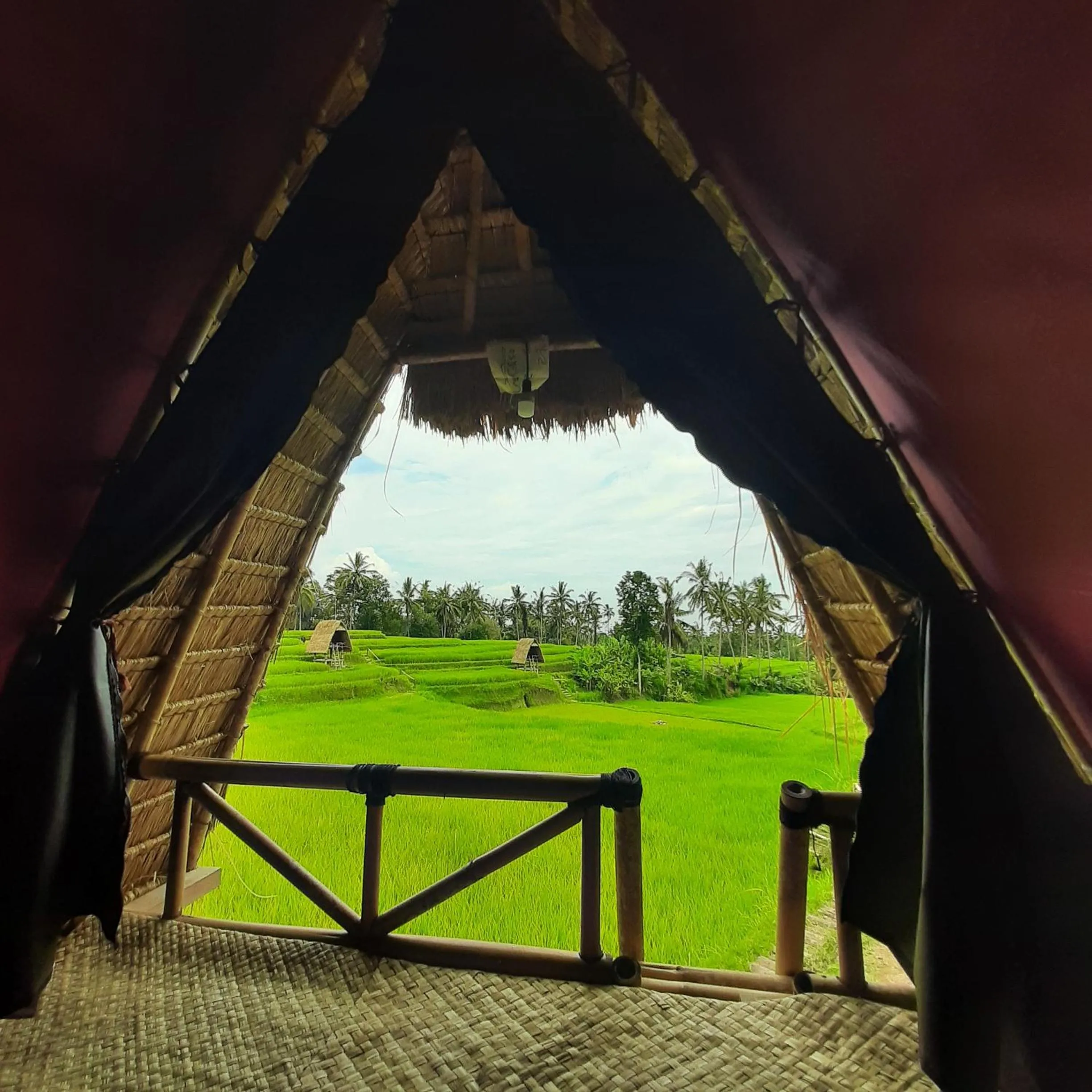 Garden view in Swaha Retreat & Eco Park Ubud