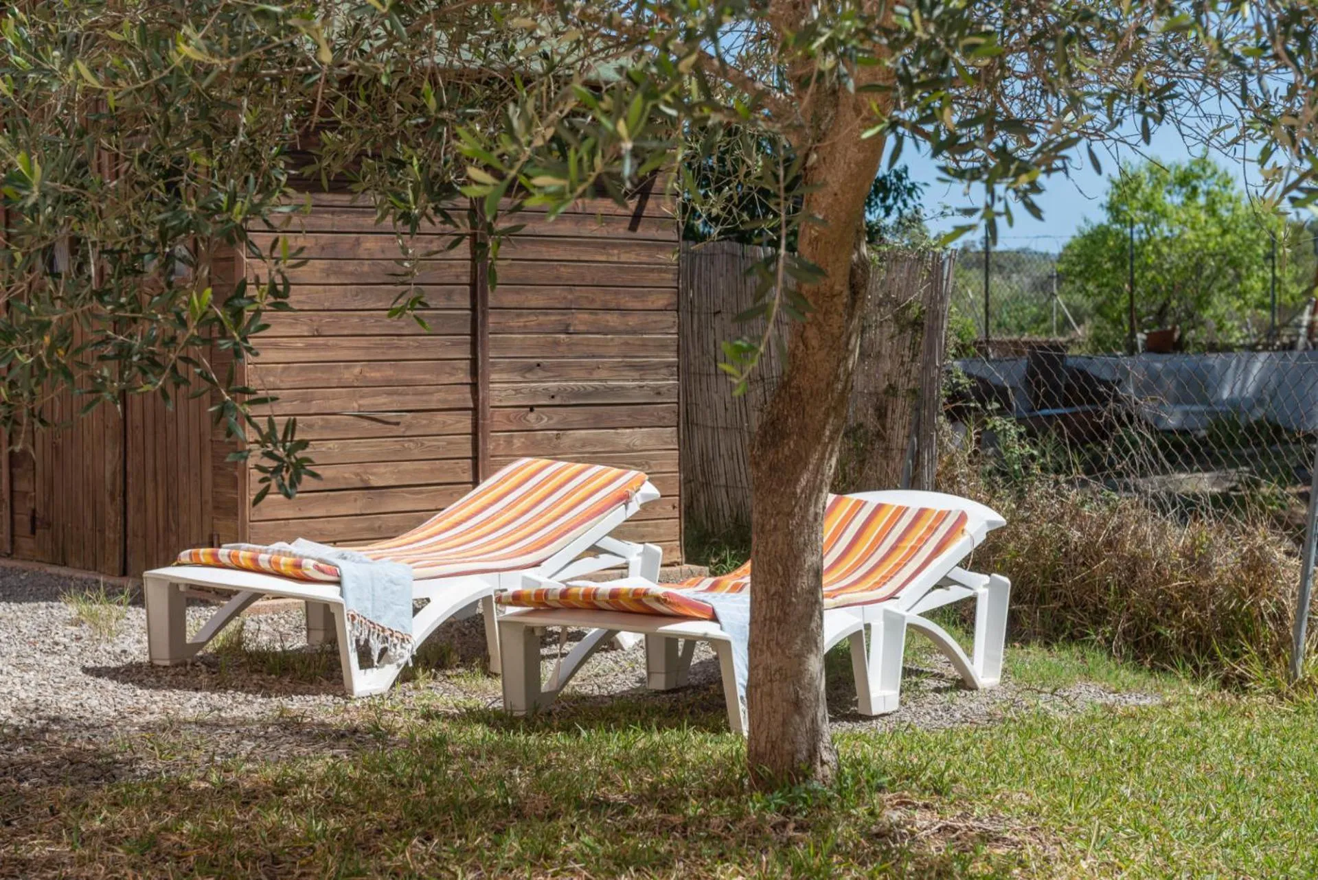 Garden in Can Vauma - Alcúdia