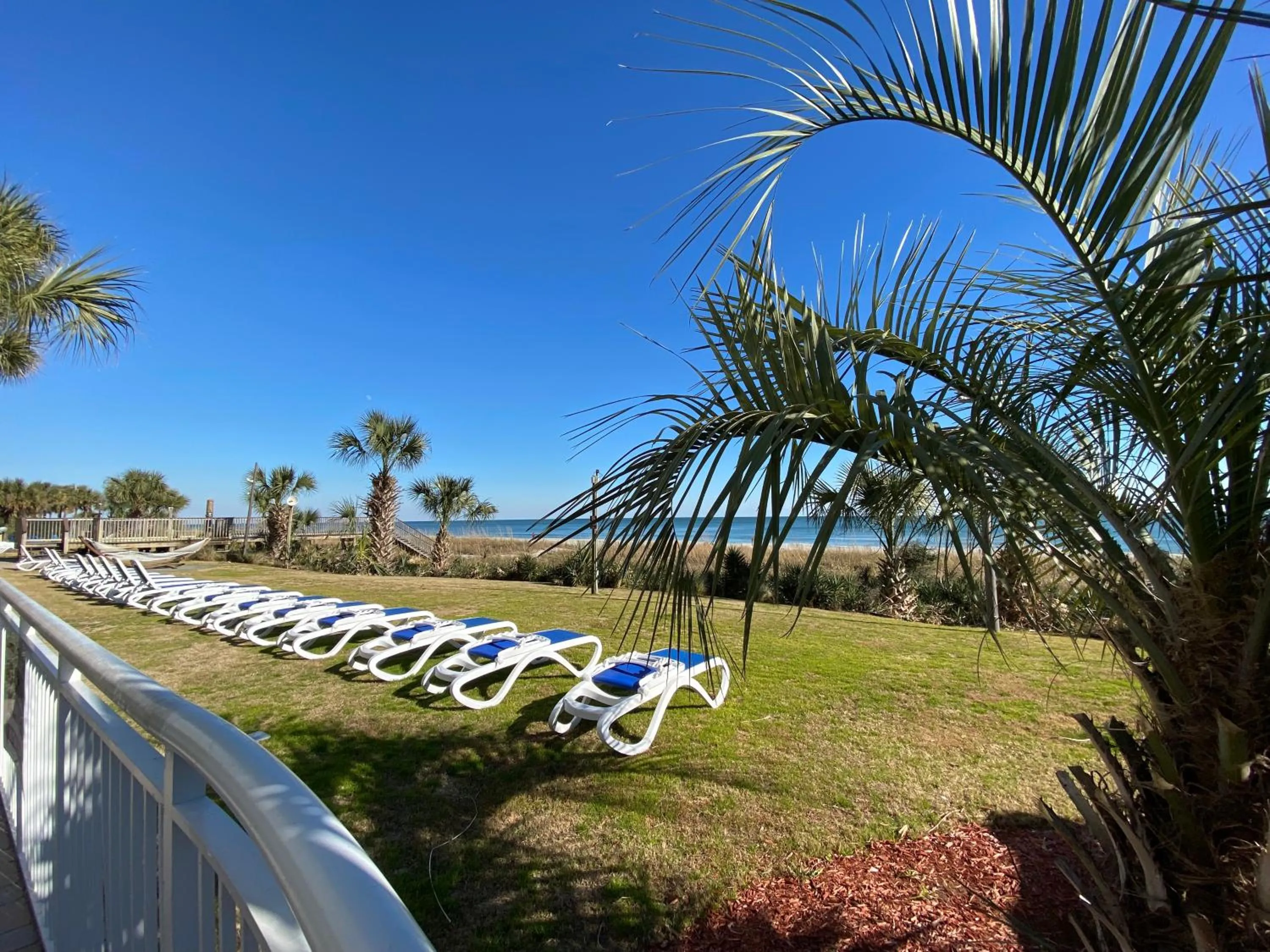 Natural landscape in Camelot By The Sea Ocean Front Condo