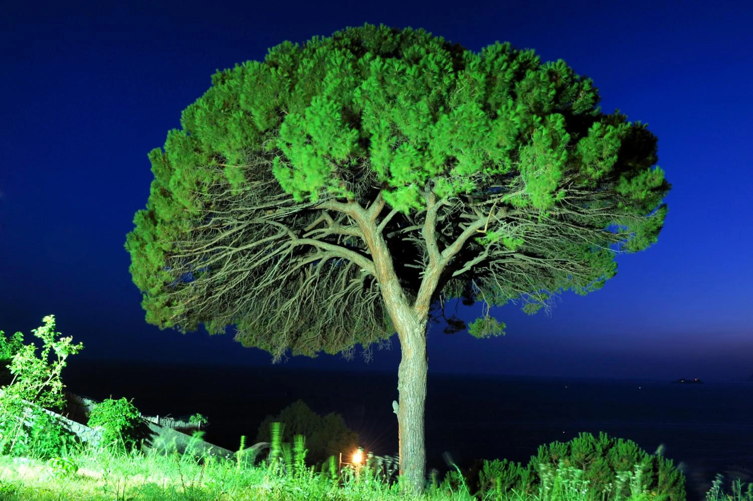 Other in Hotel Il Pino