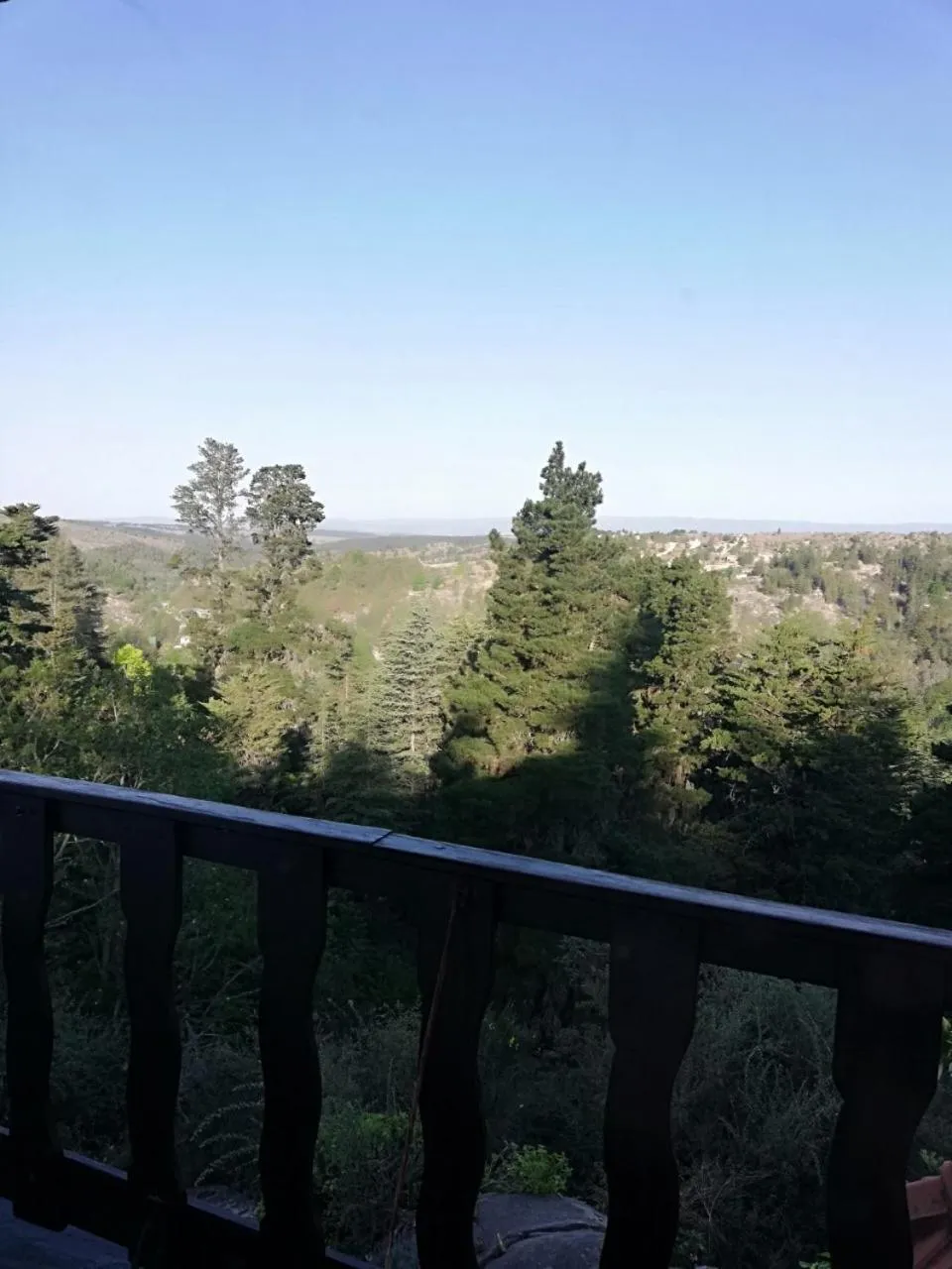 Natural landscape in Hotel Panorama