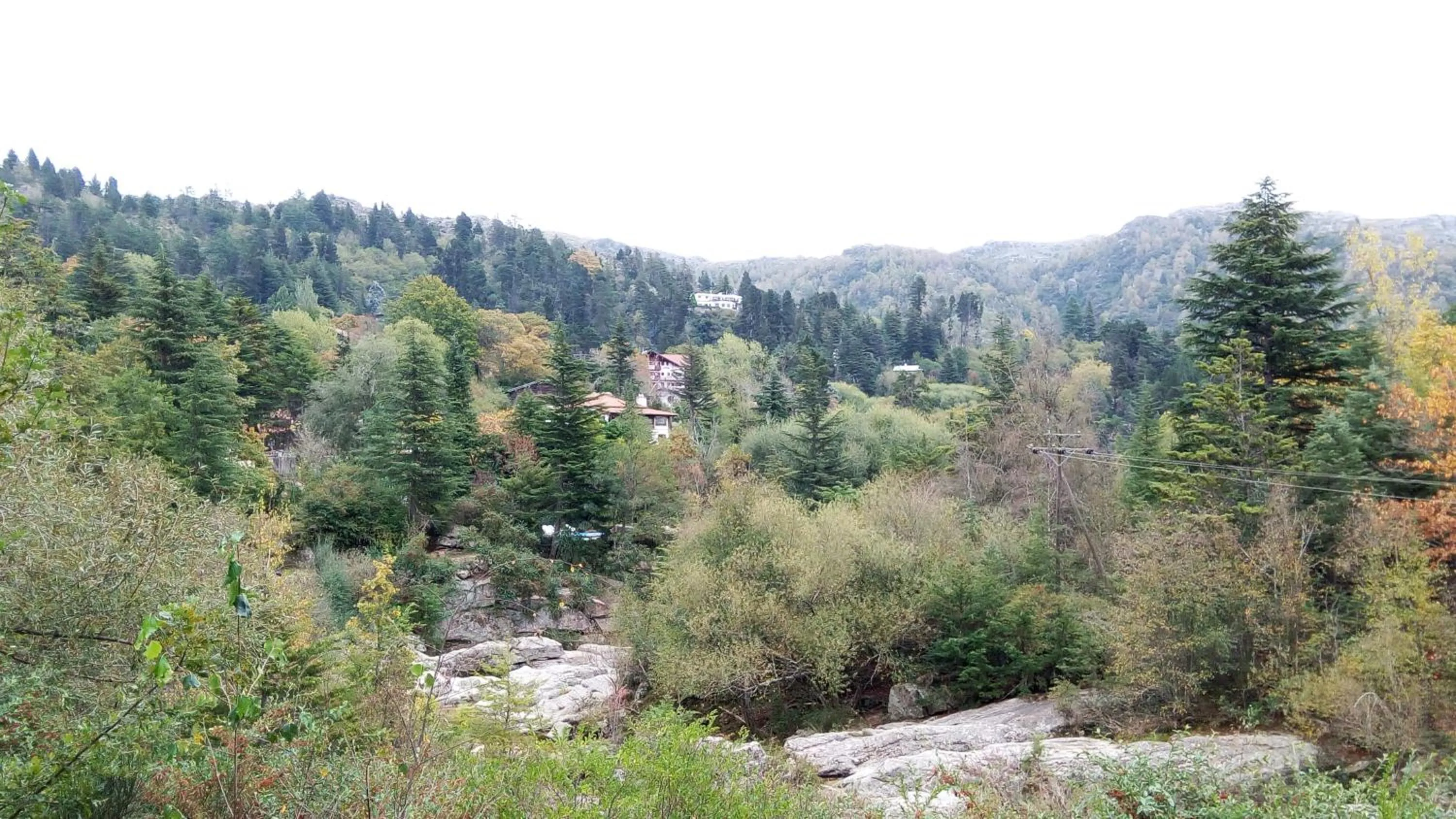 Natural landscape in Hotel Panorama