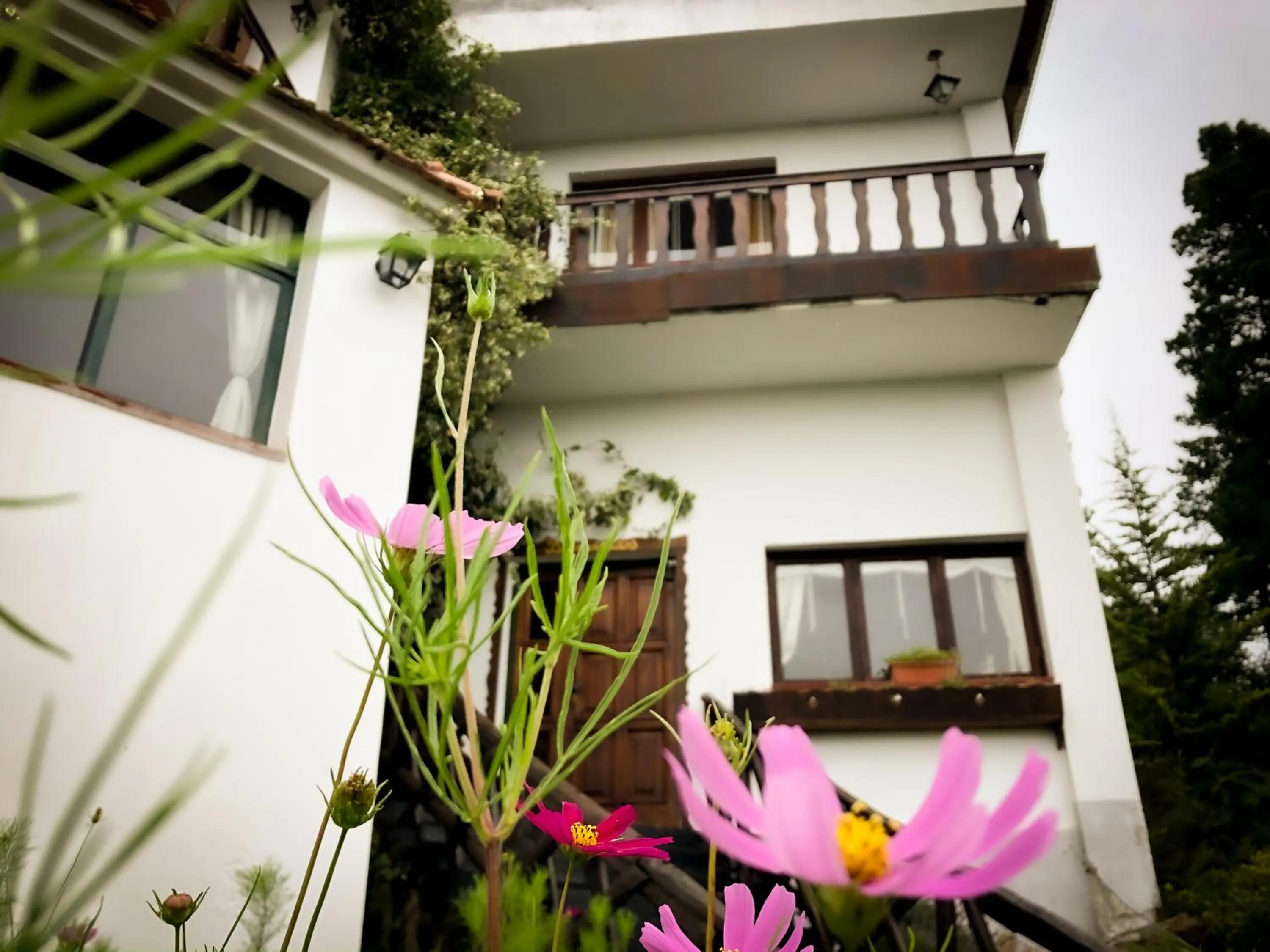 Property building in Hotel Panorama