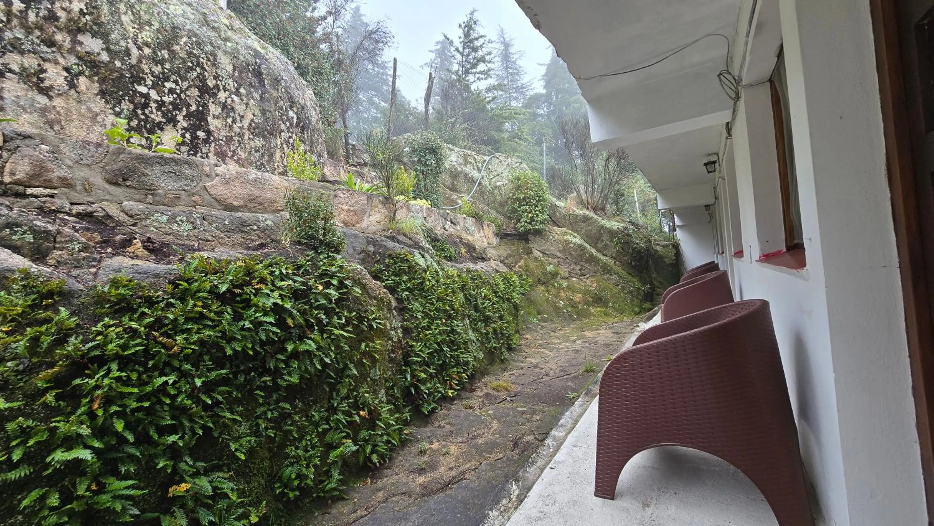 Garden in Hotel Panorama