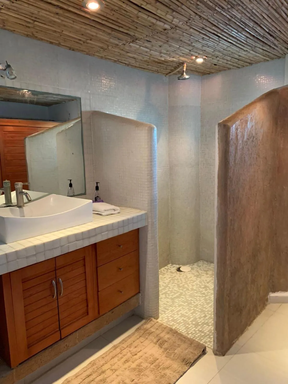 Condominio Agave del Mar