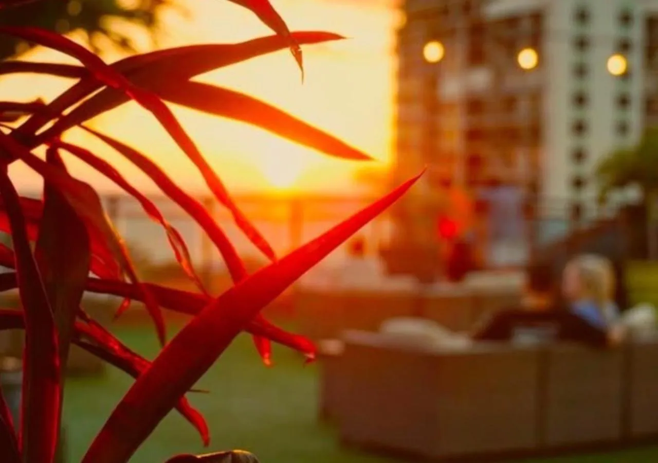 Balcony/Terrace in The Hotel Zamora