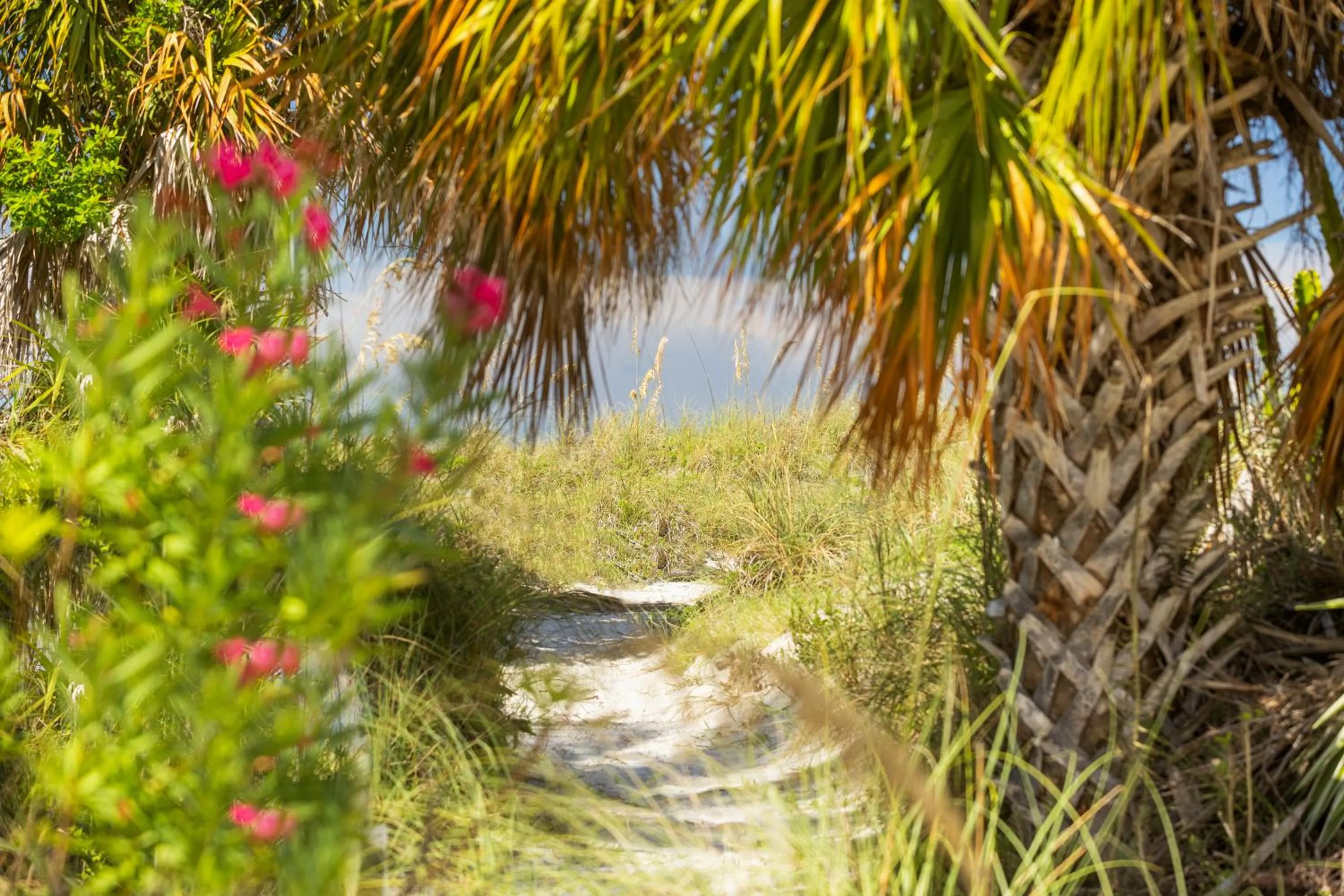 Beach in The Hotel Zamora