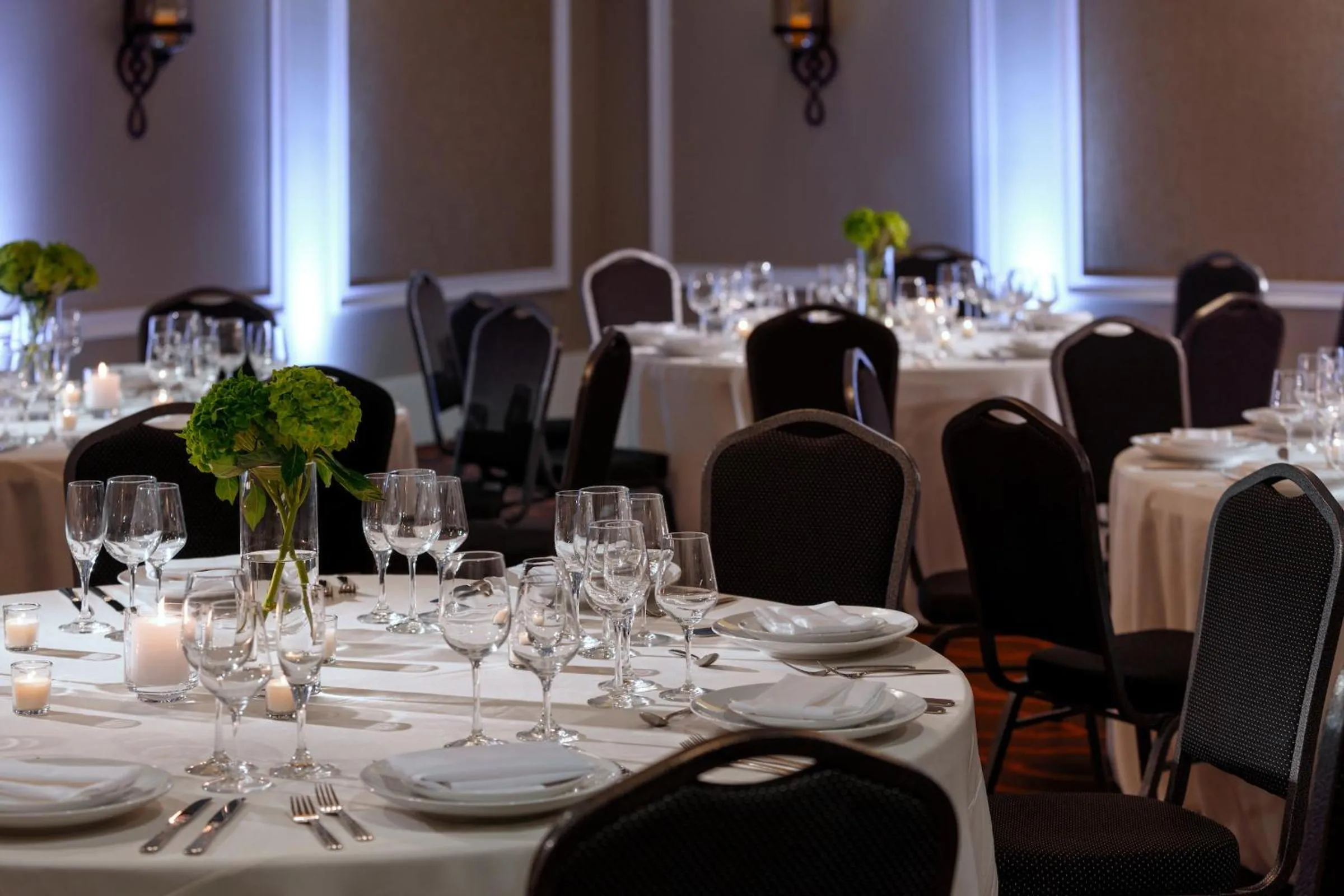 Banquet/Function facilities in The Hotel Zamora