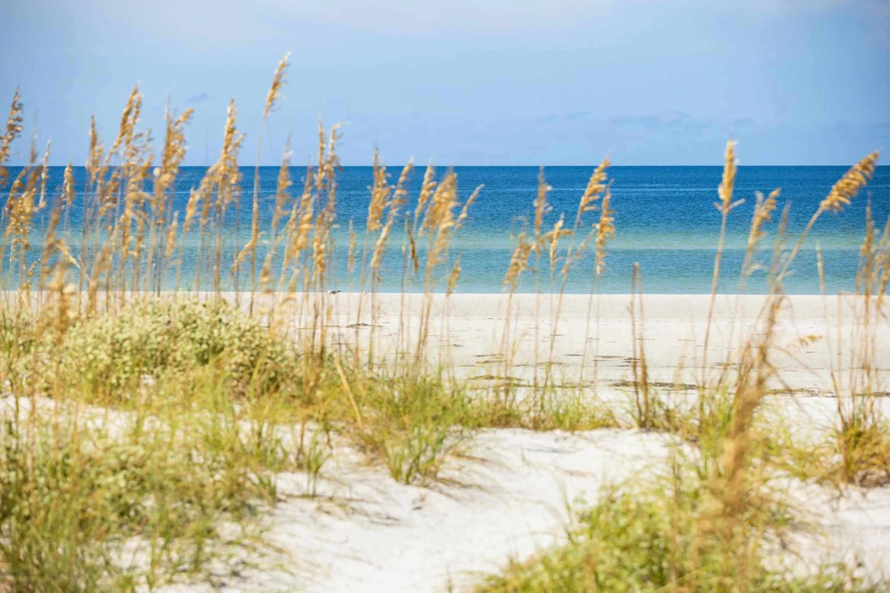 Beach in The Hotel Zamora