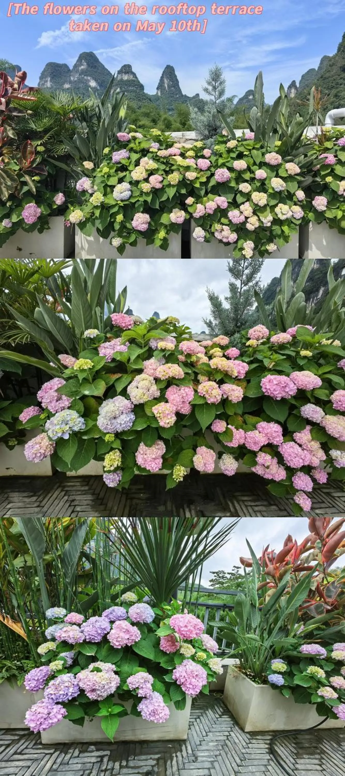 View (from property/room) in Yangshuo Mountain River Ballad Hotel - Free Yangshuo Train Station Pick Up and Drop Off