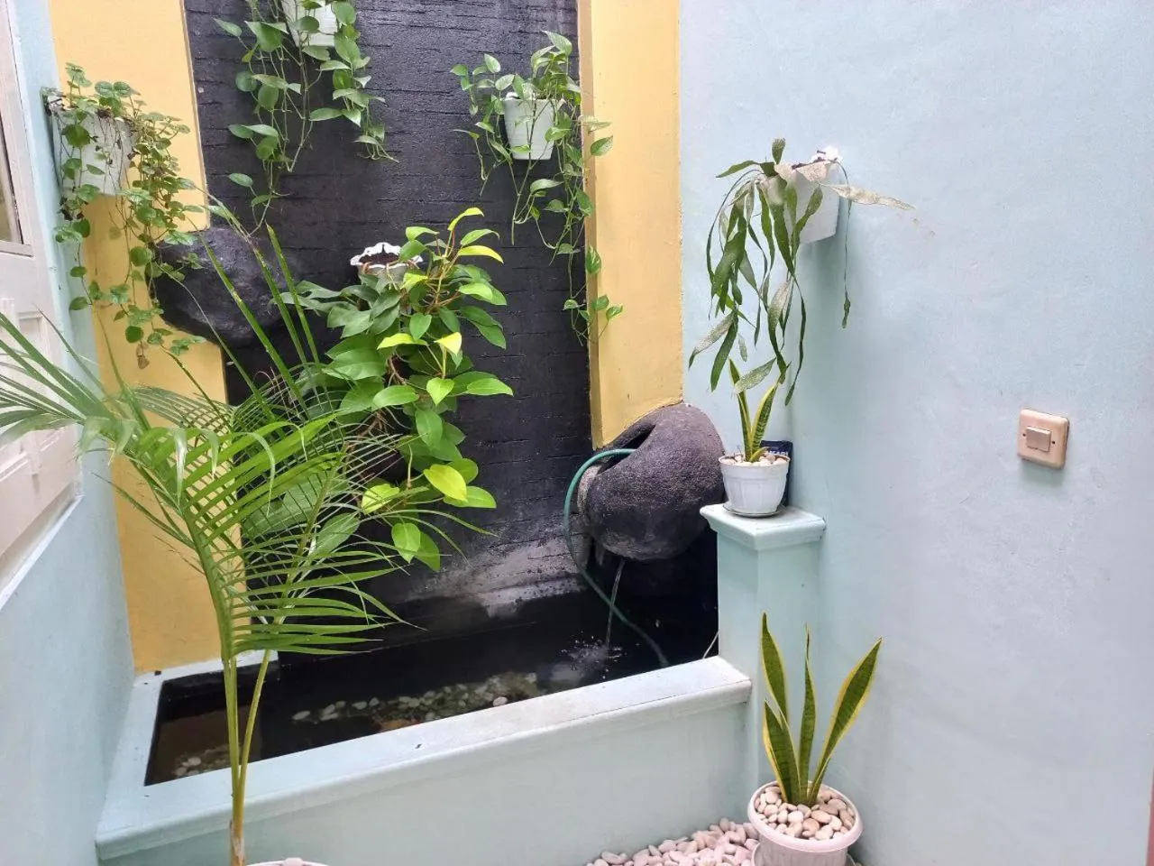 Garden in Homestay Simply Homy dekat Tugu Jogja dan Monjali