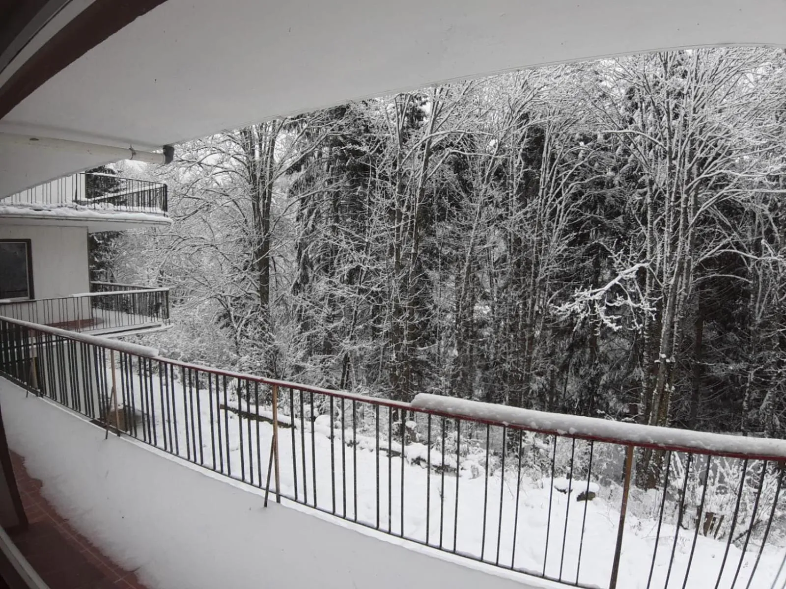 Fitnesshotel Bergquell