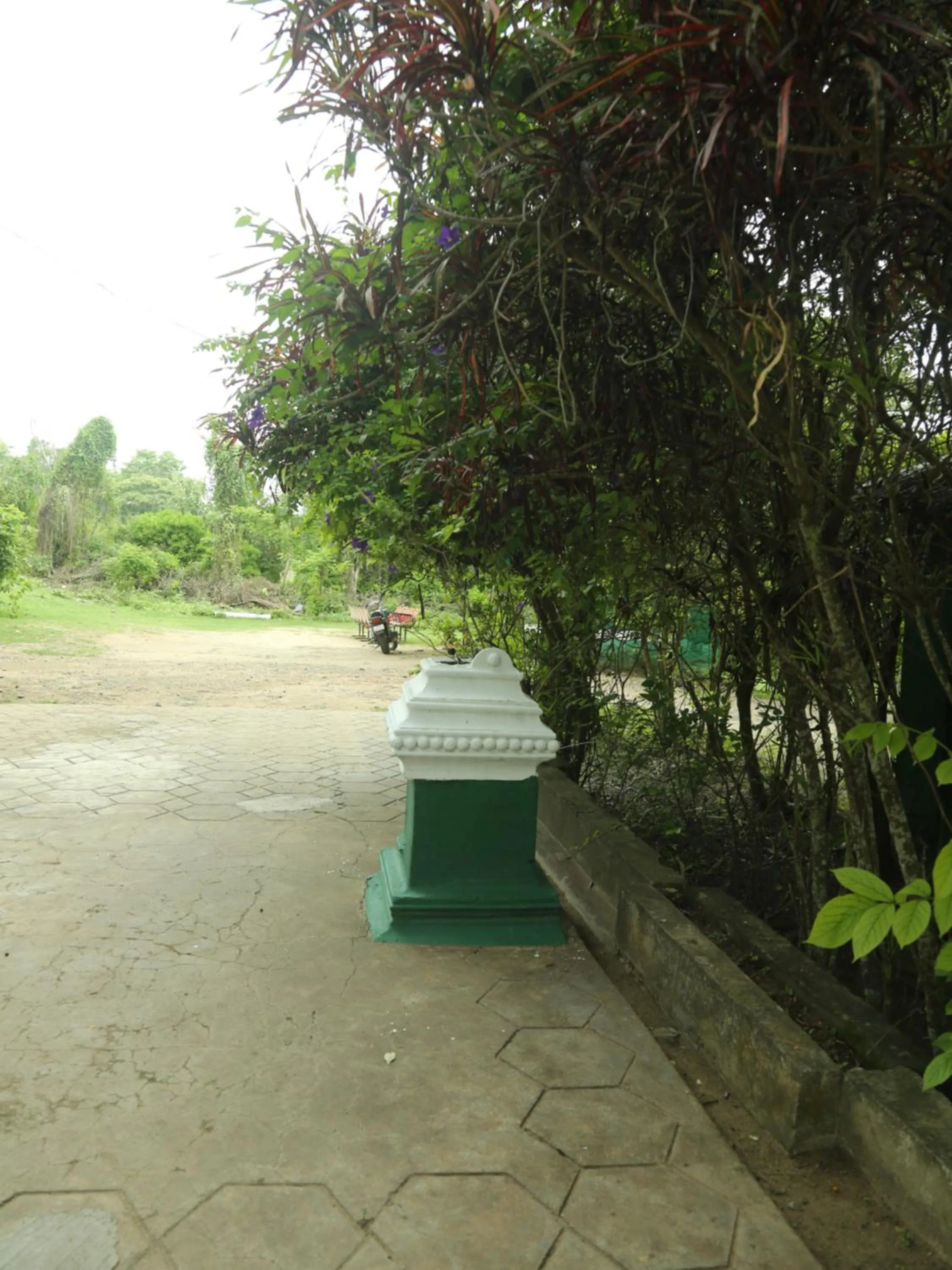 Other in JUNGLE PARADISE FARM & GUEST HOUSE