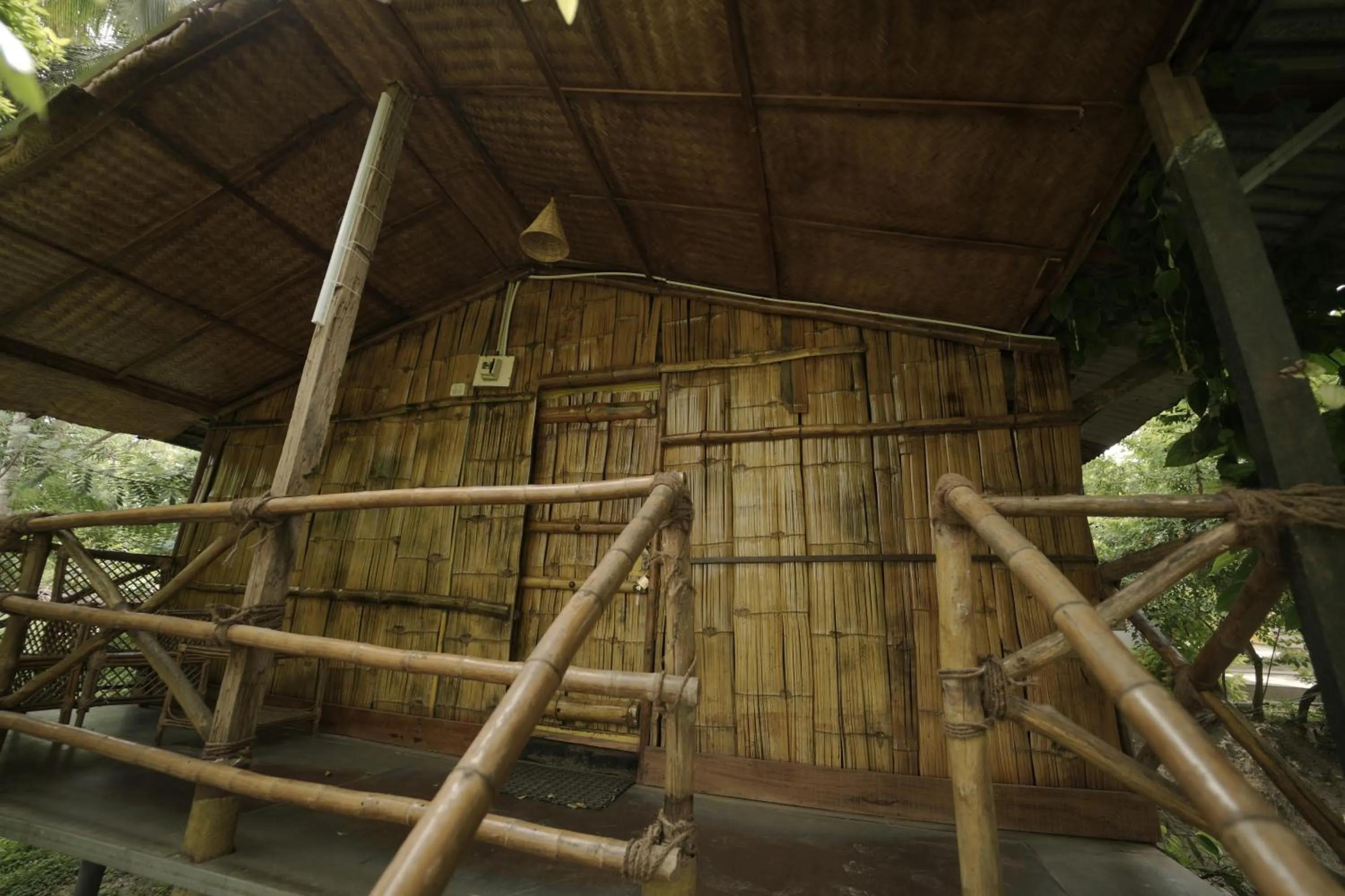 Balcony/Terrace in JUNGLE PARADISE FARM & GUEST HOUSE