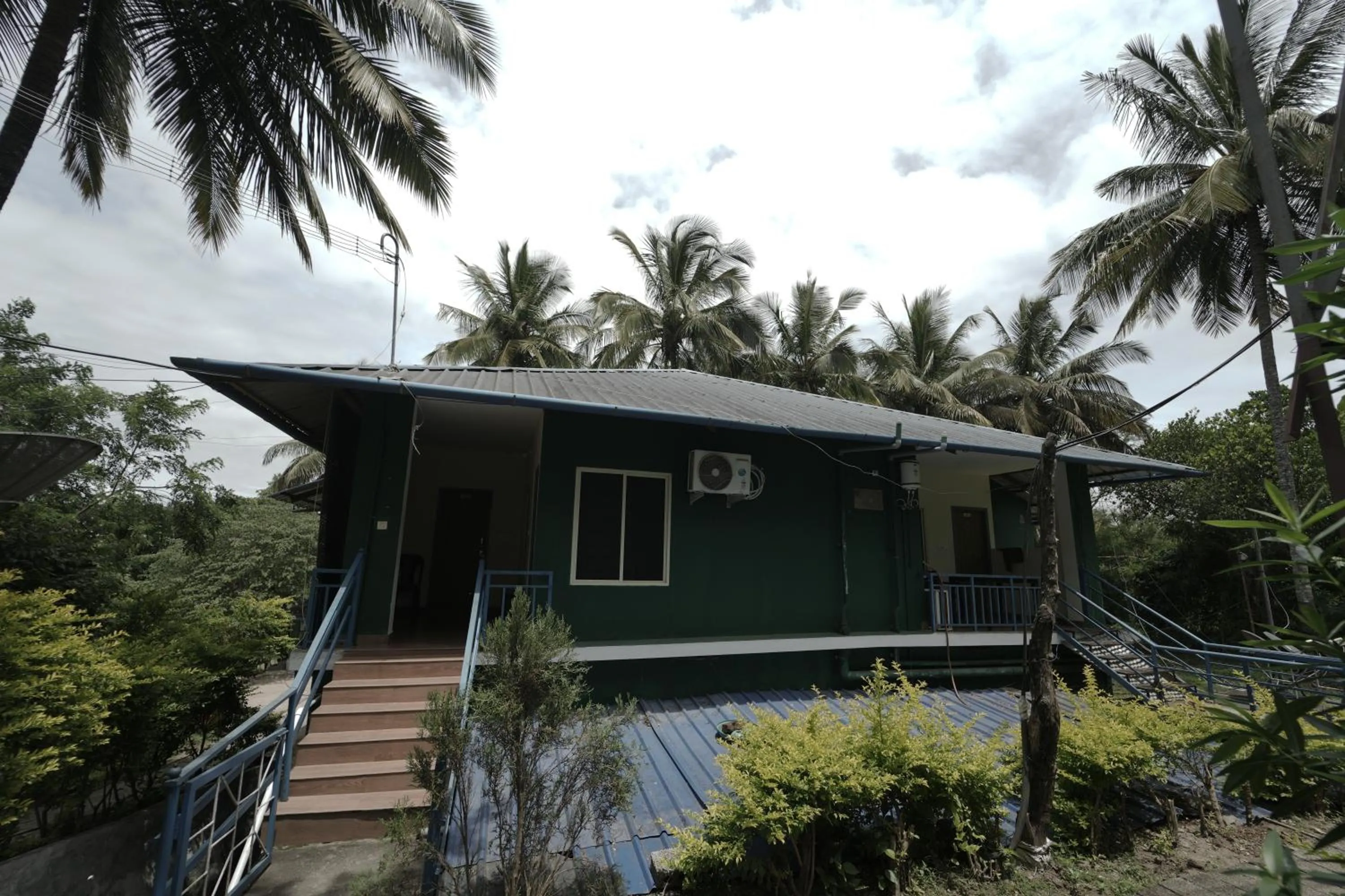 Spring in JUNGLE PARADISE FARM & GUEST HOUSE