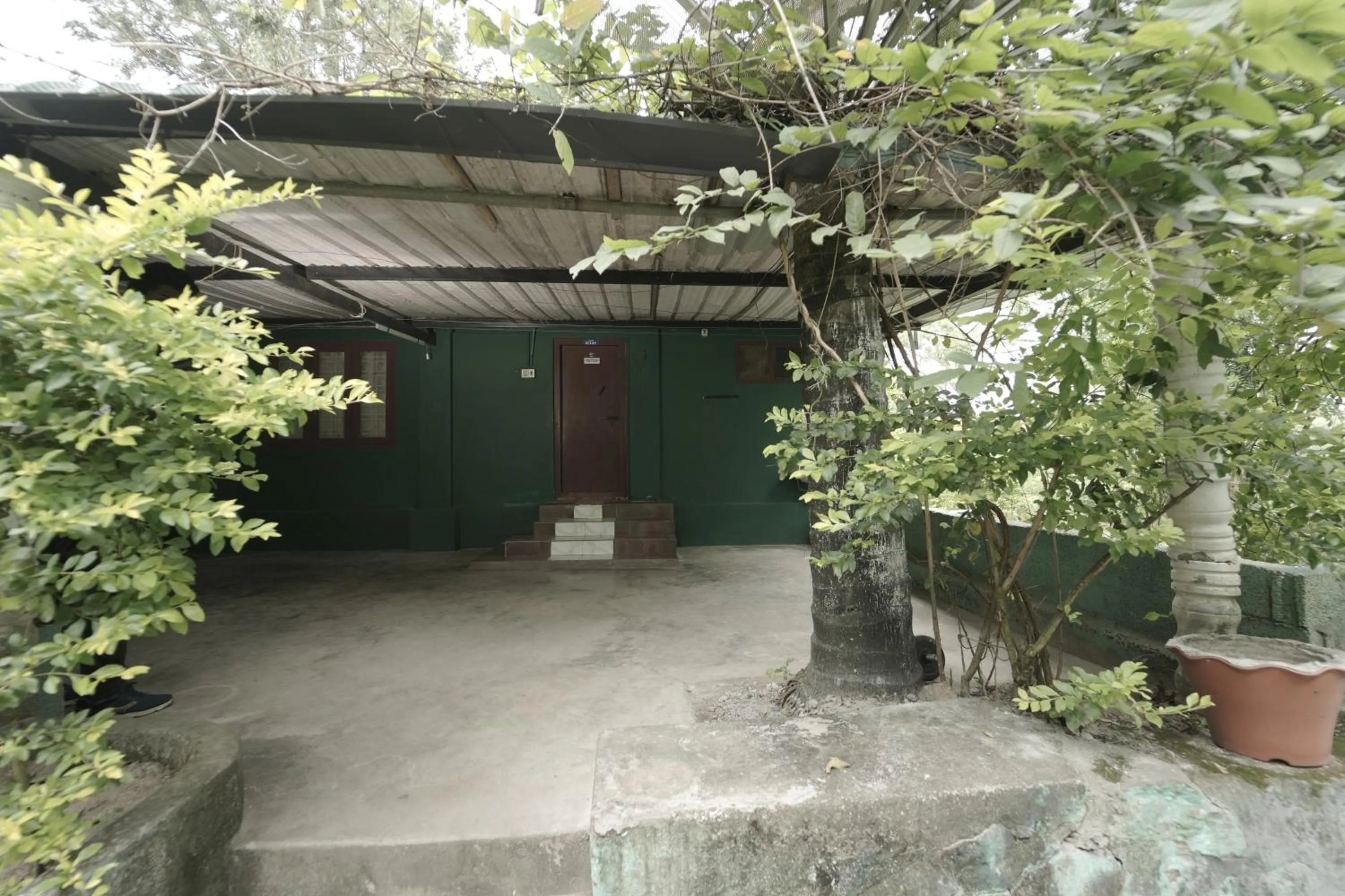View (from property/room) in JUNGLE PARADISE FARM & GUEST HOUSE