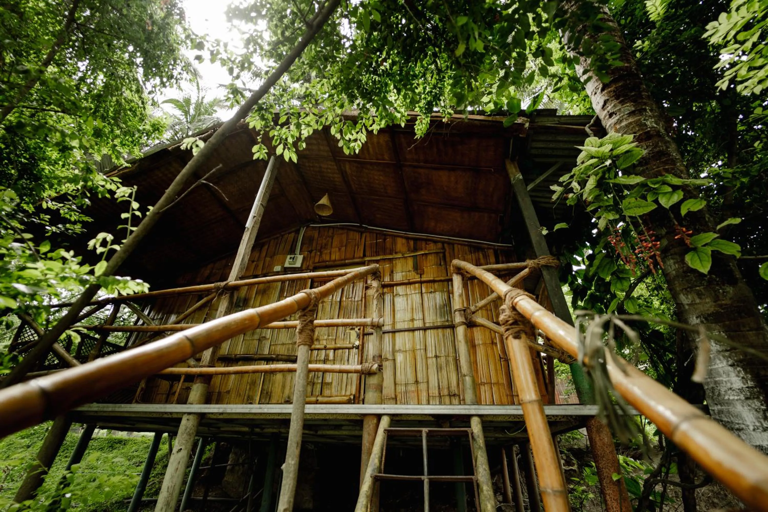 View (from property/room) in JUNGLE PARADISE FARM & GUEST HOUSE