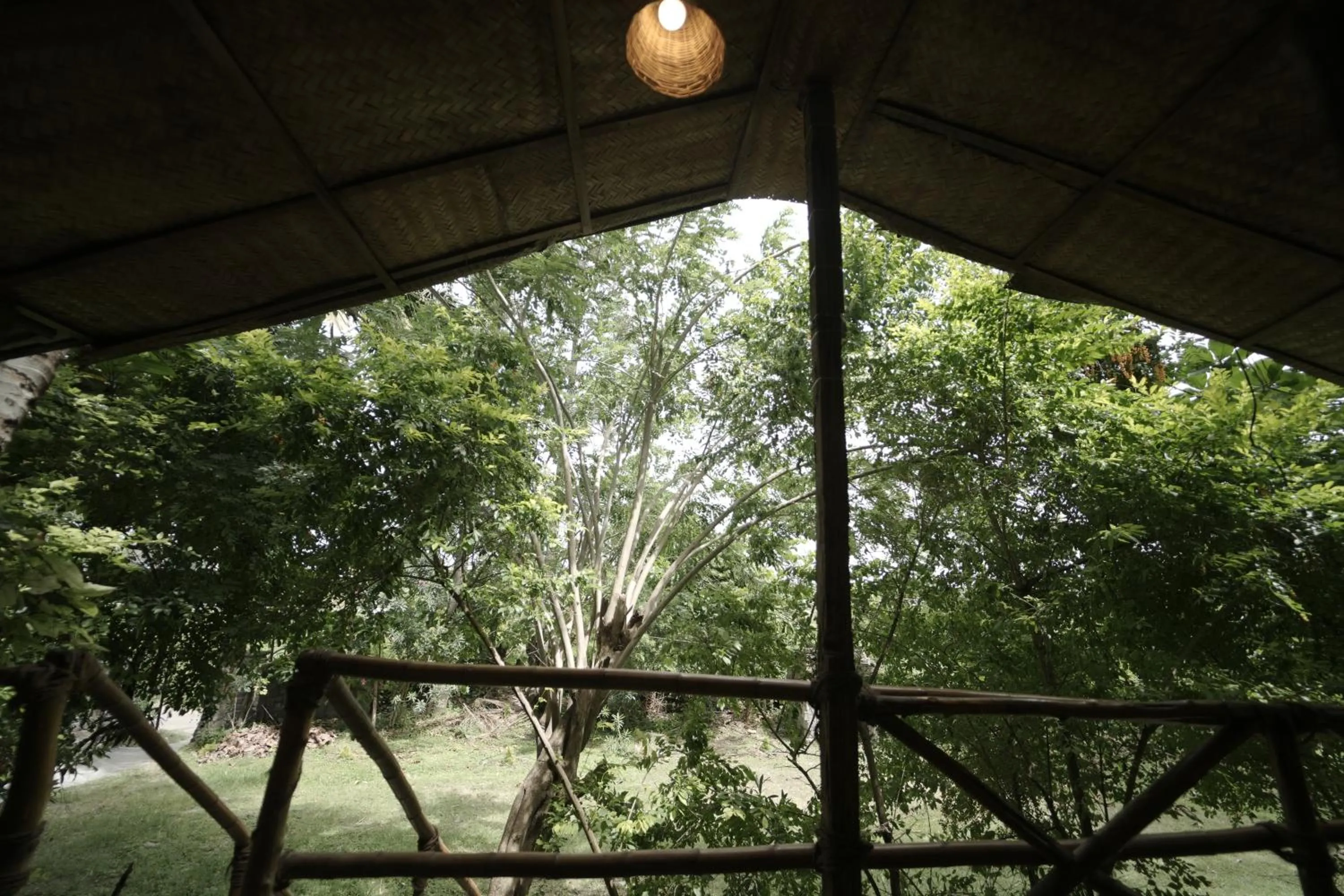 View (from property/room) in JUNGLE PARADISE FARM & GUEST HOUSE
