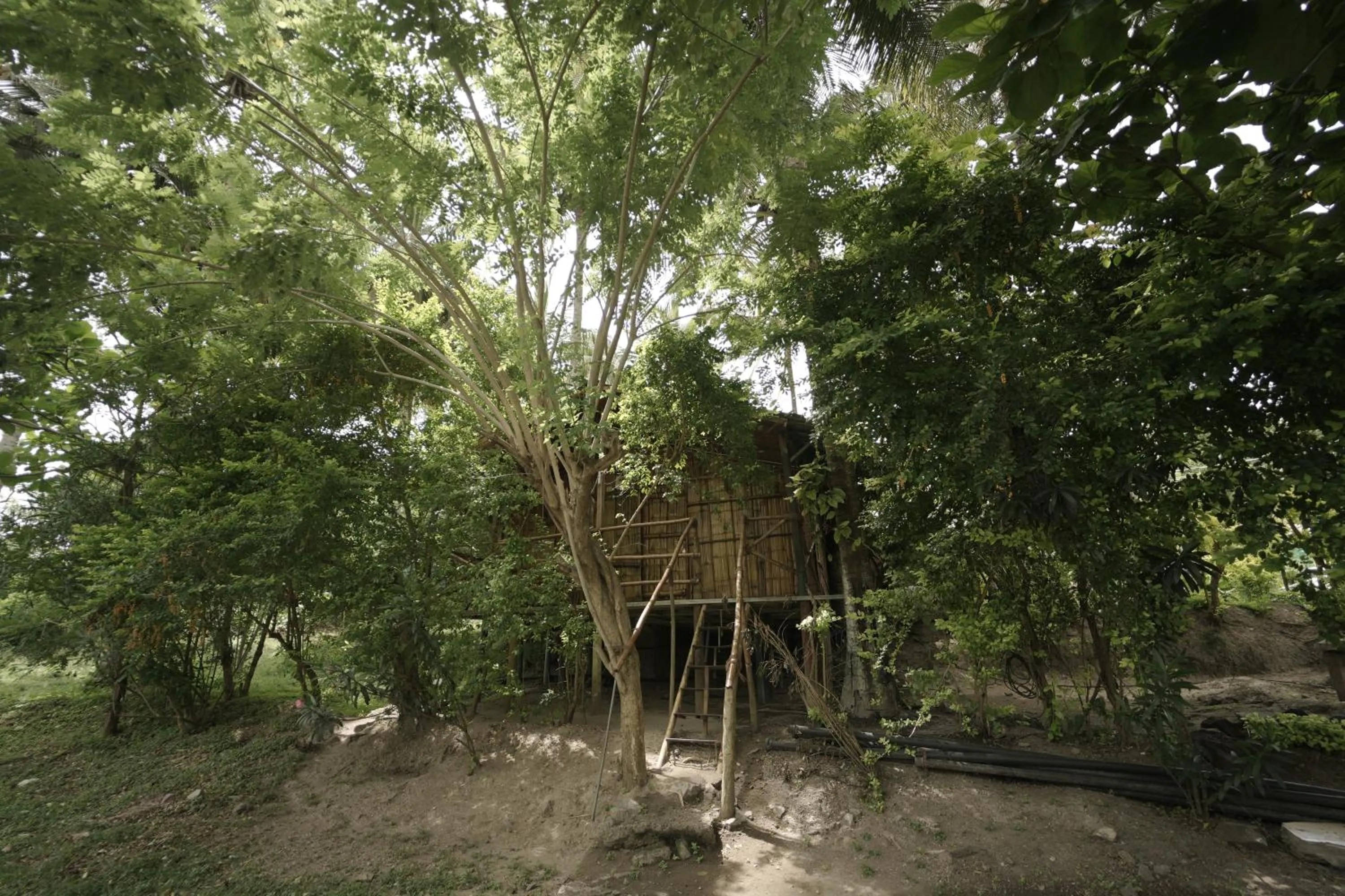 View (from property/room) in JUNGLE PARADISE FARM & GUEST HOUSE