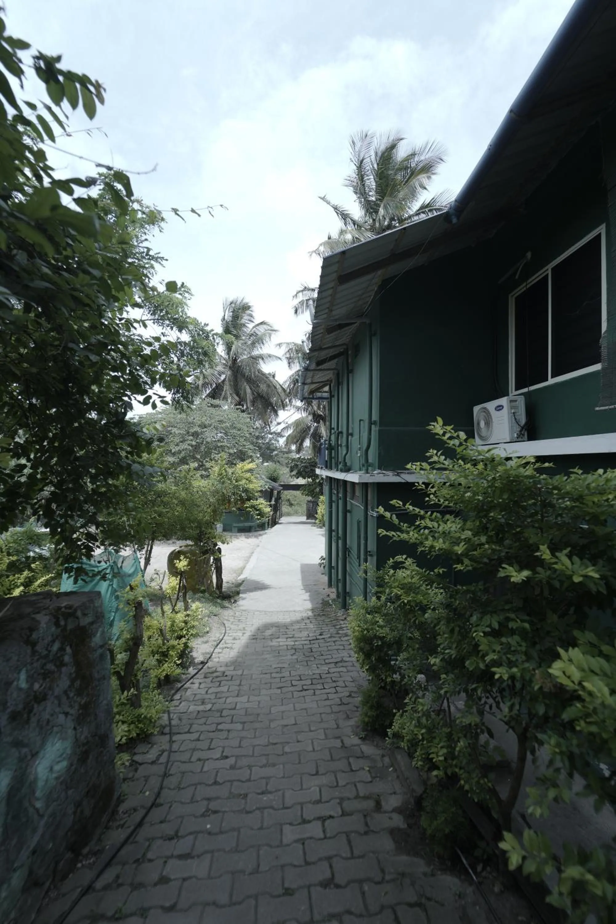 Spring in JUNGLE PARADISE FARM & GUEST HOUSE