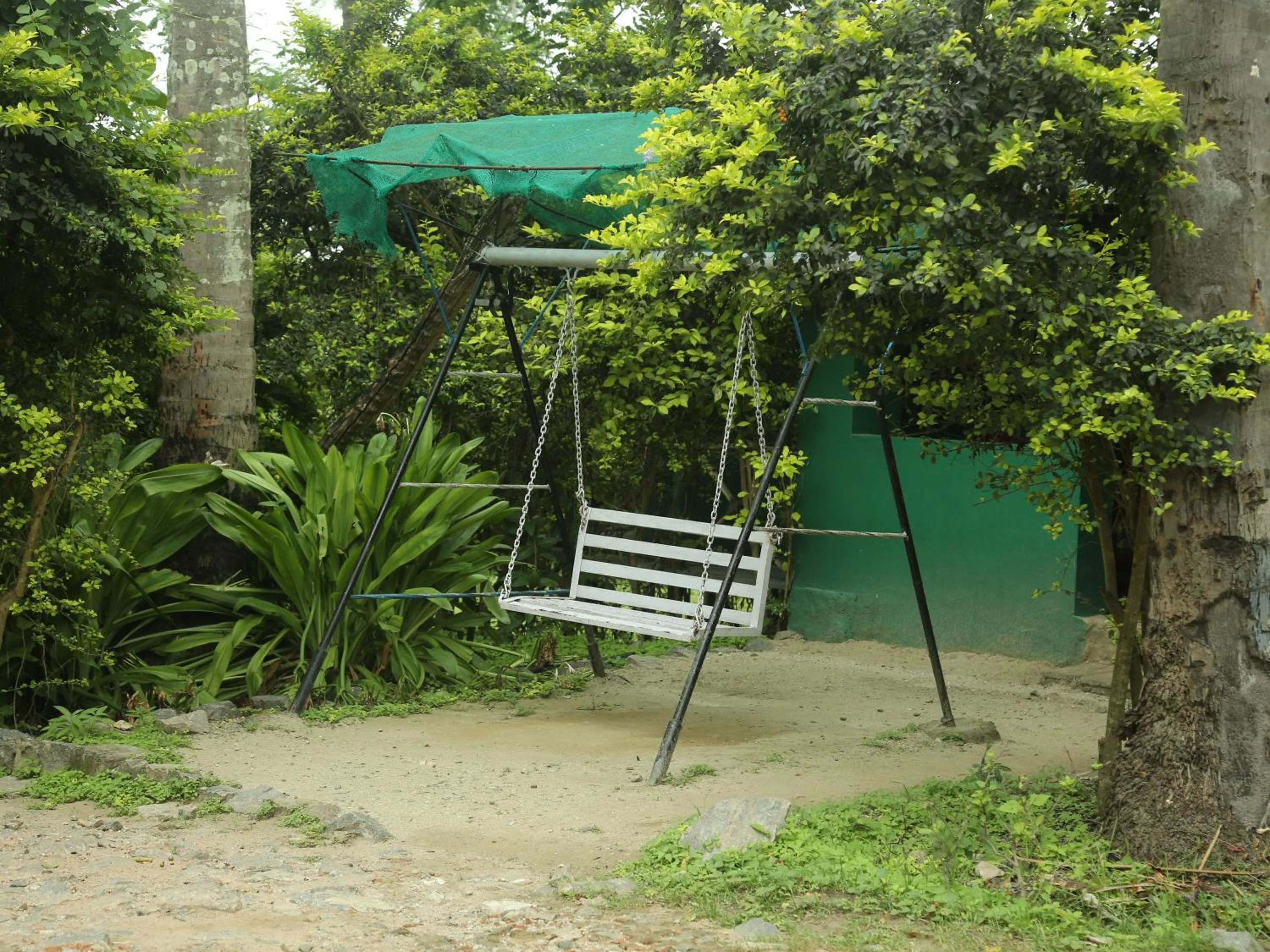 Garden in JUNGLE PARADISE FARM & GUEST HOUSE