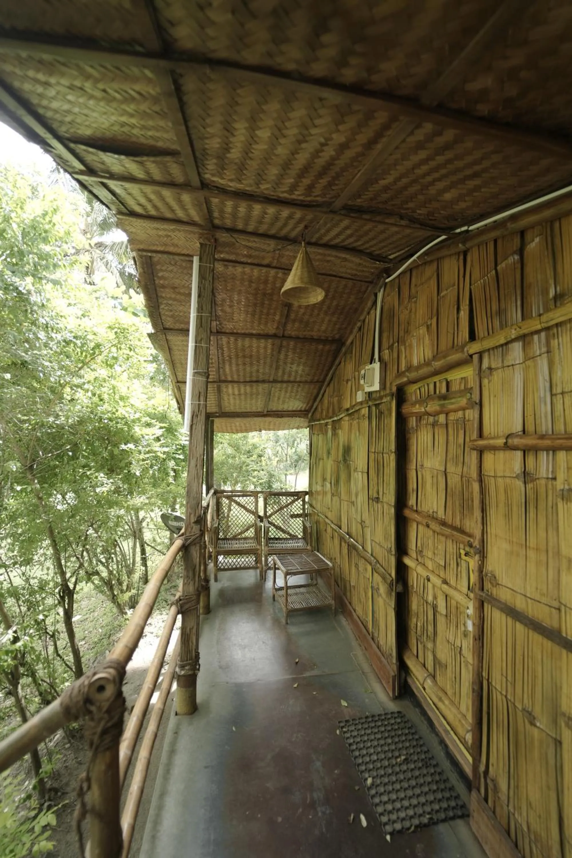 Balcony/Terrace in JUNGLE PARADISE FARM & GUEST HOUSE