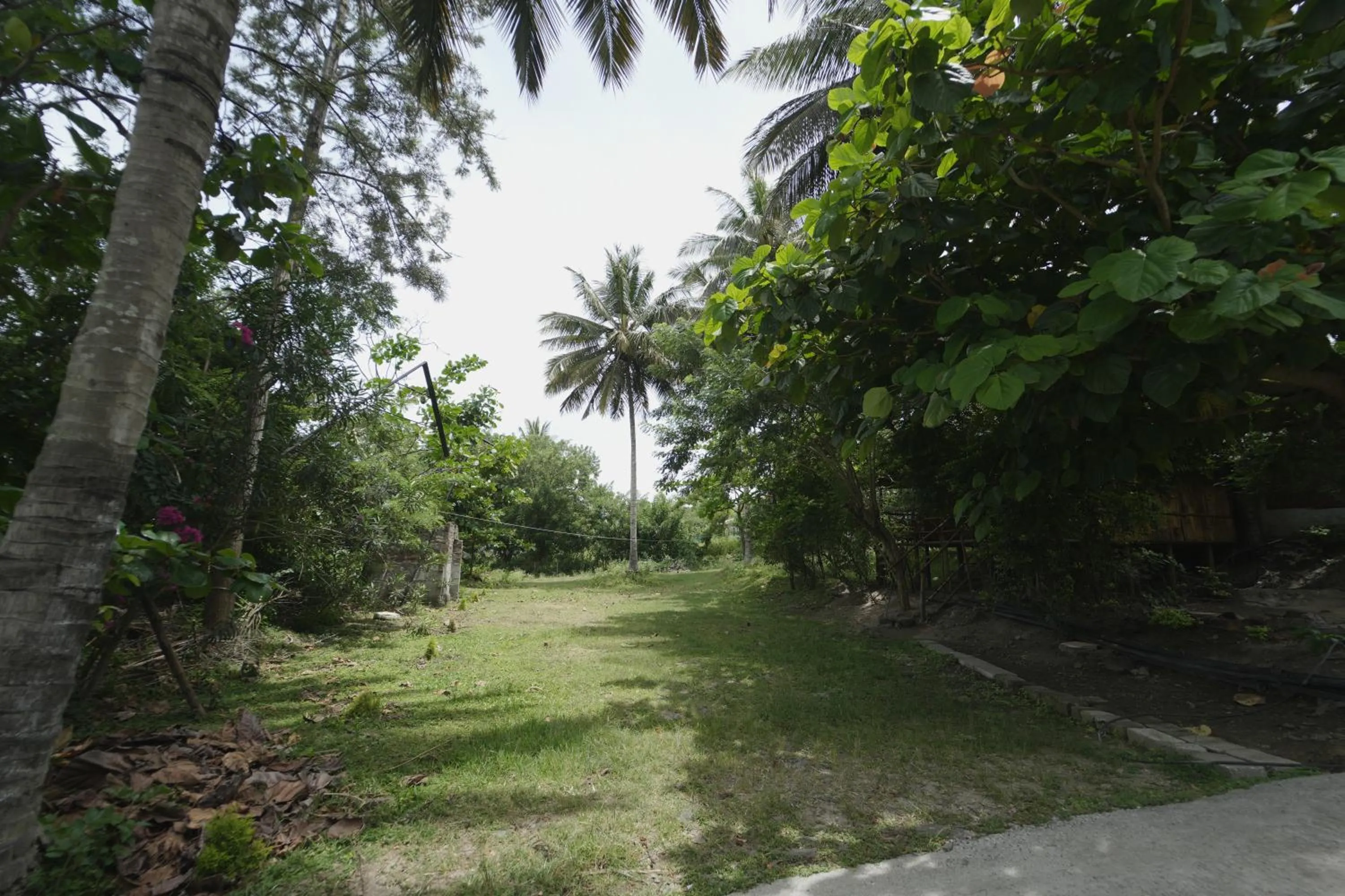 Garden in JUNGLE PARADISE FARM & GUEST HOUSE