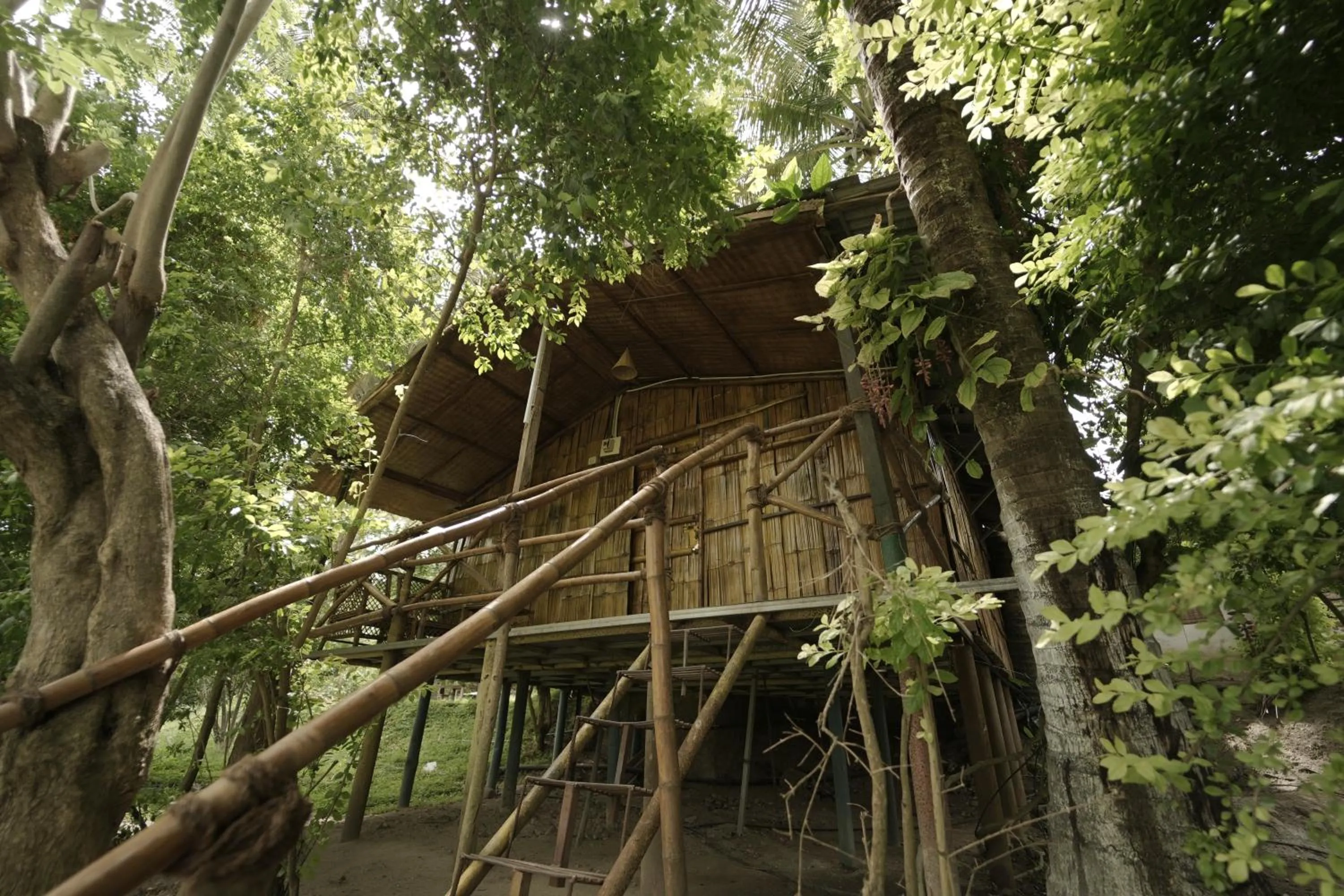 View (from property/room) in JUNGLE PARADISE FARM & GUEST HOUSE
