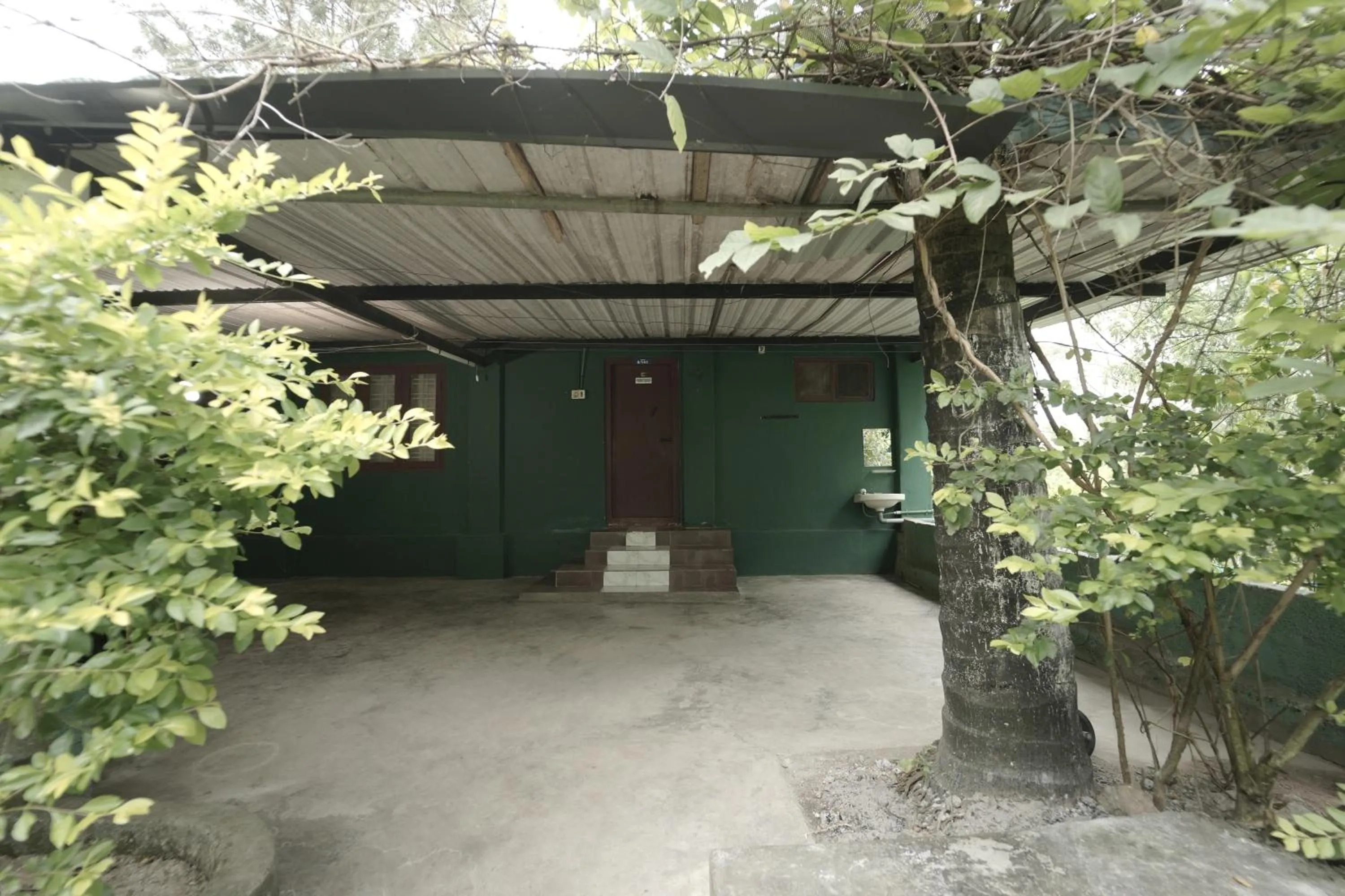 View (from property/room) in JUNGLE PARADISE FARM & GUEST HOUSE