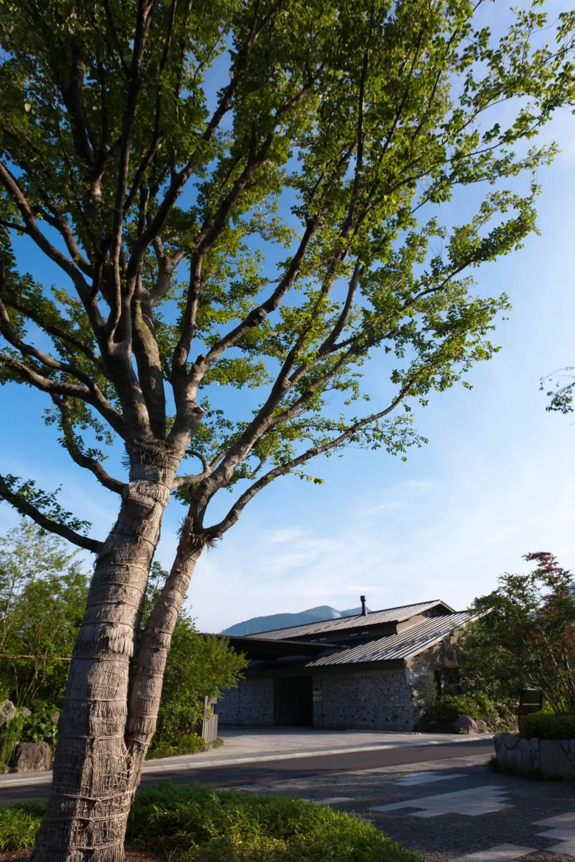 Property building in Yufuin Bettei Itsuki Property building in Yufuin Bettei Itsuki