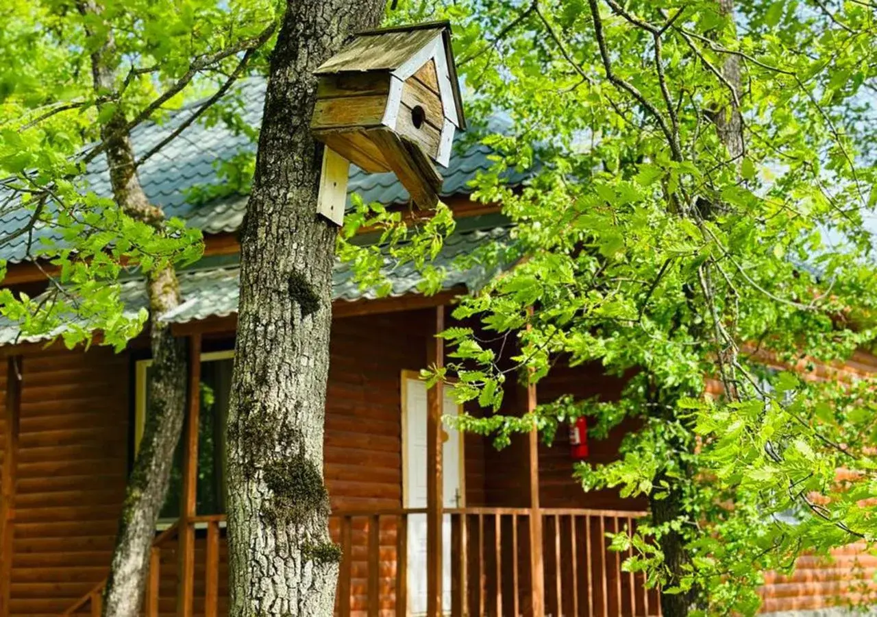 View (from property/room) in Deluxe Park Qusar Resort & Spa Hotel View (from property/room) in Deluxe Park Qusar Resort & Spa Hotel