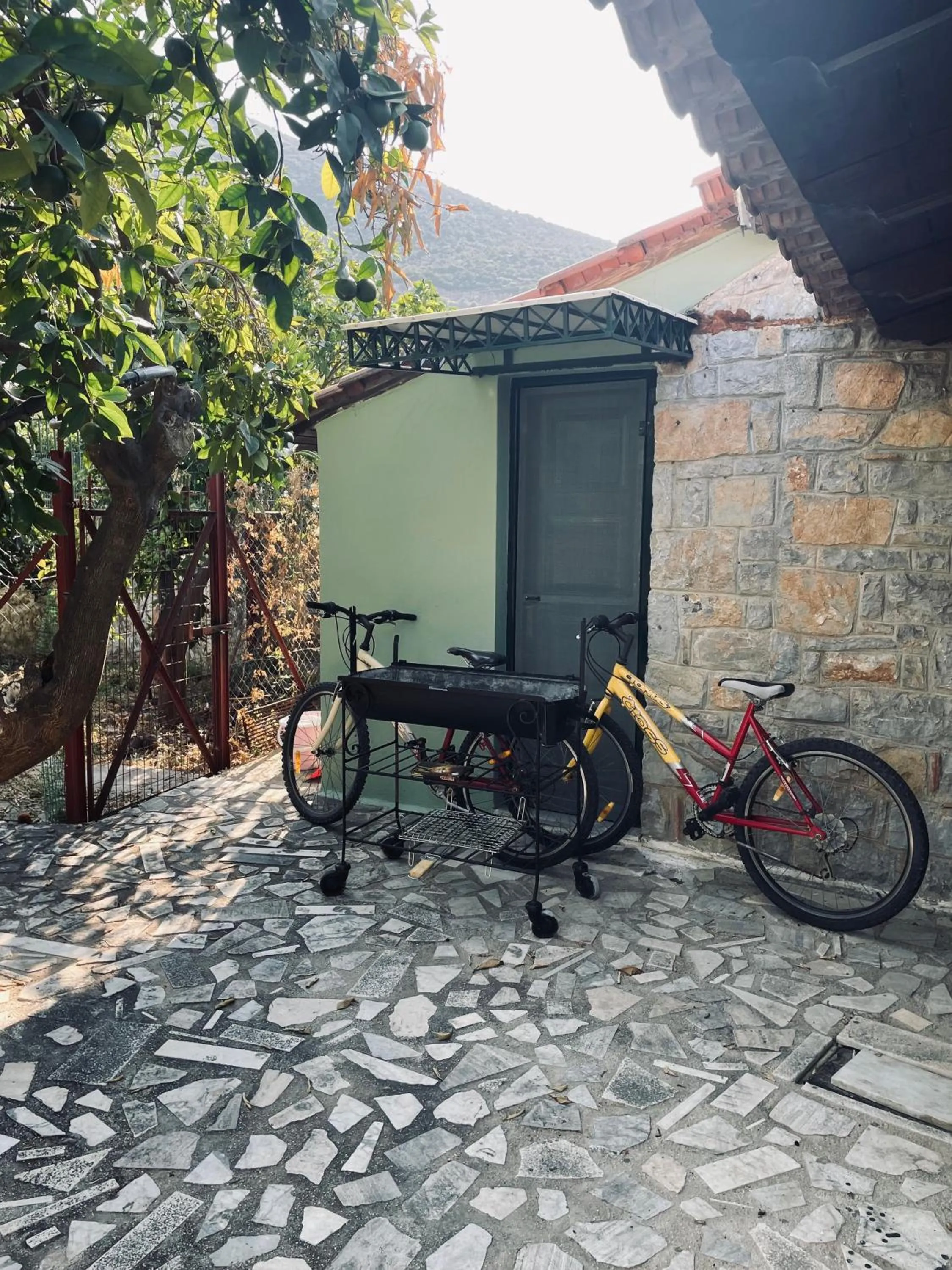 Garden in Citrus garden