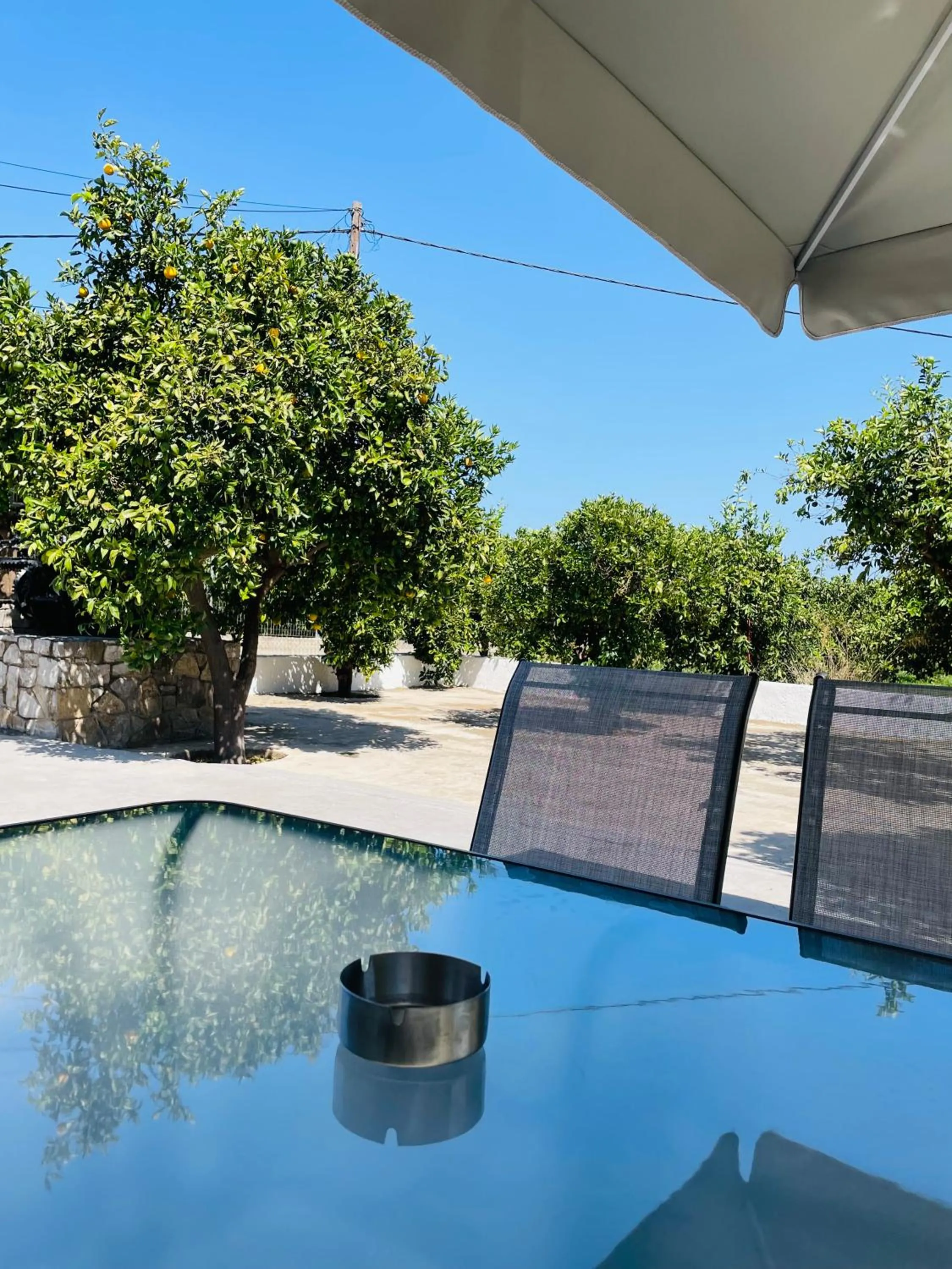 Garden in Citrus garden