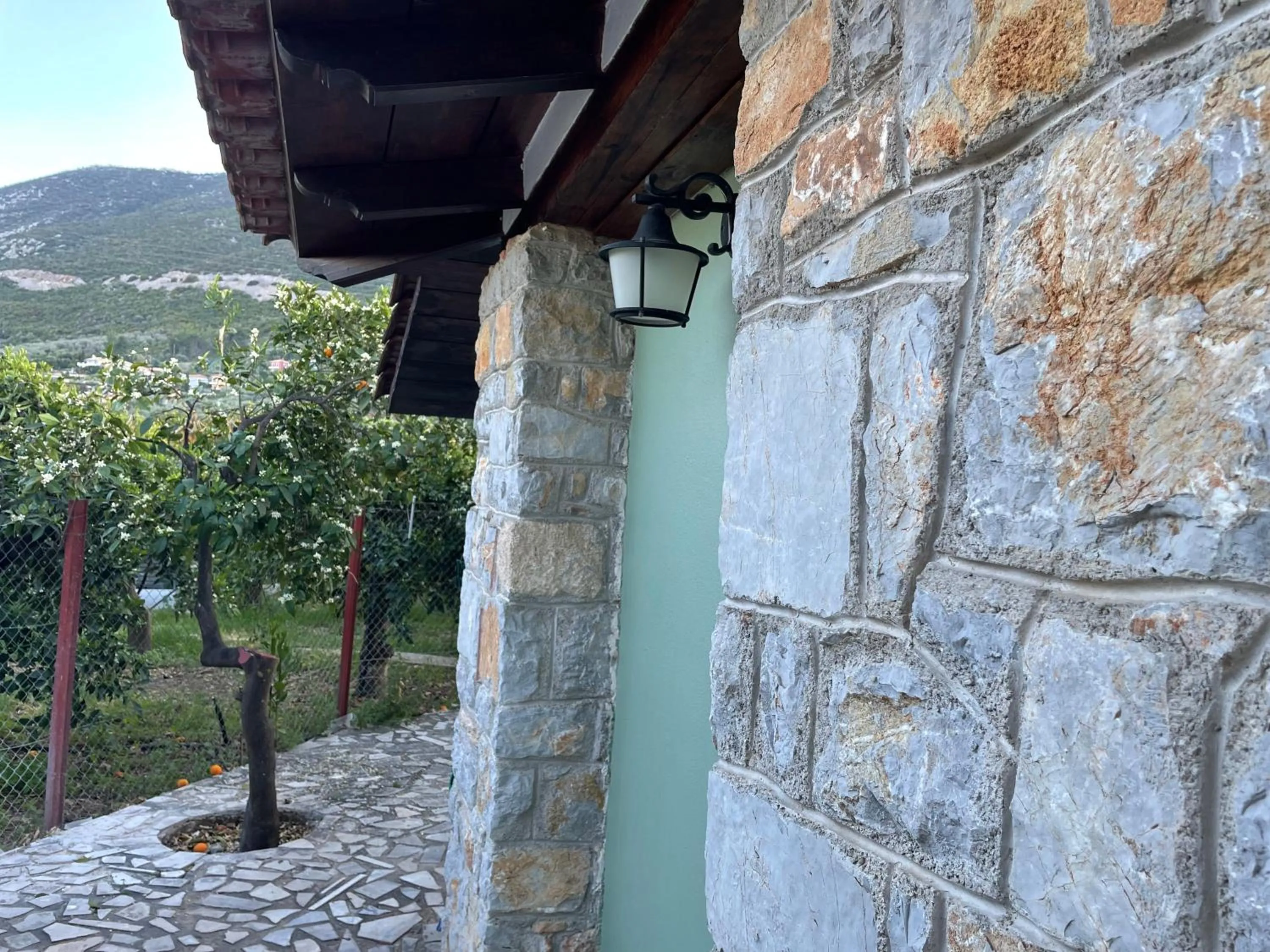 Garden in Citrus garden