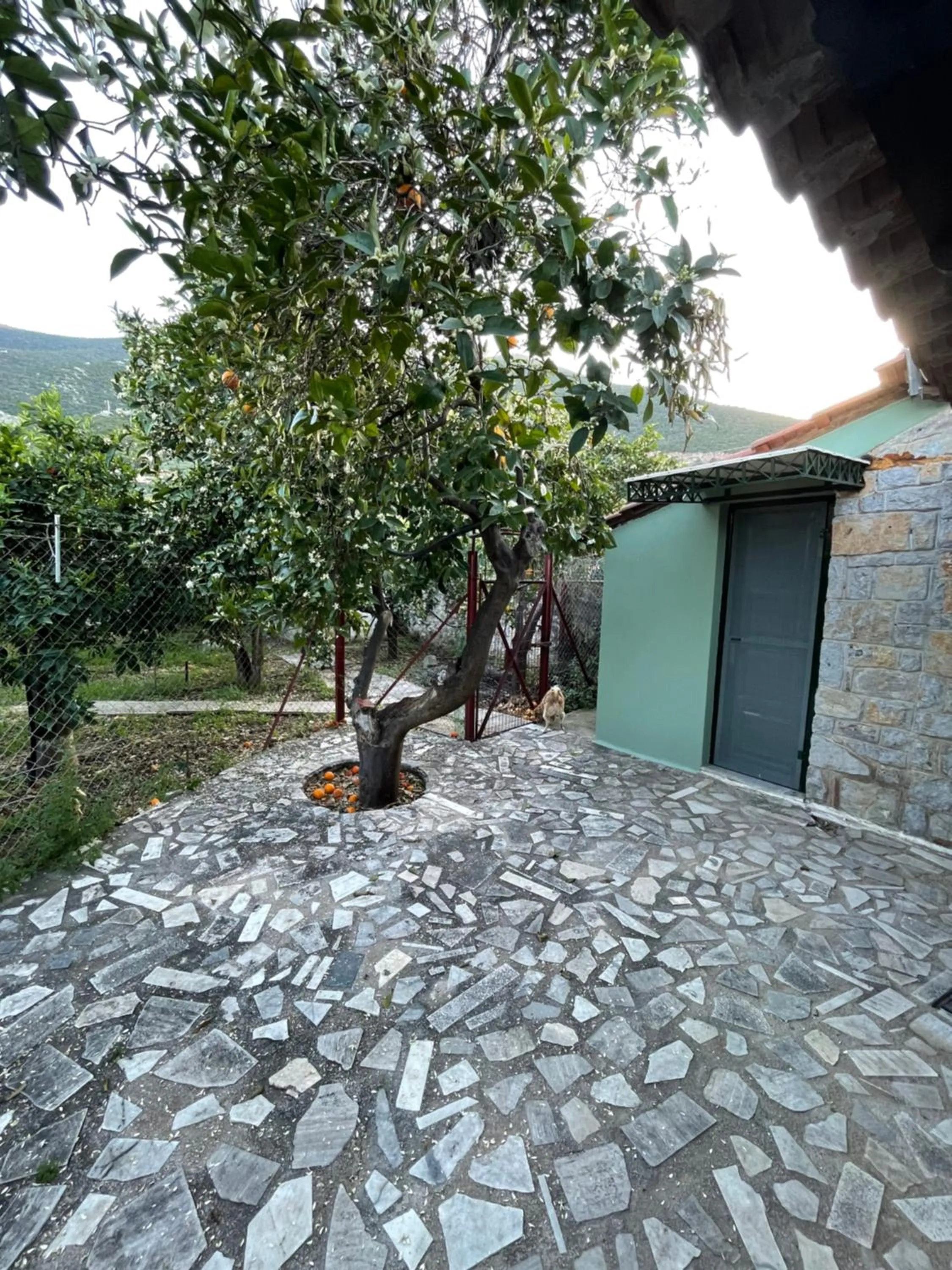 Facade/entrance in Citrus garden