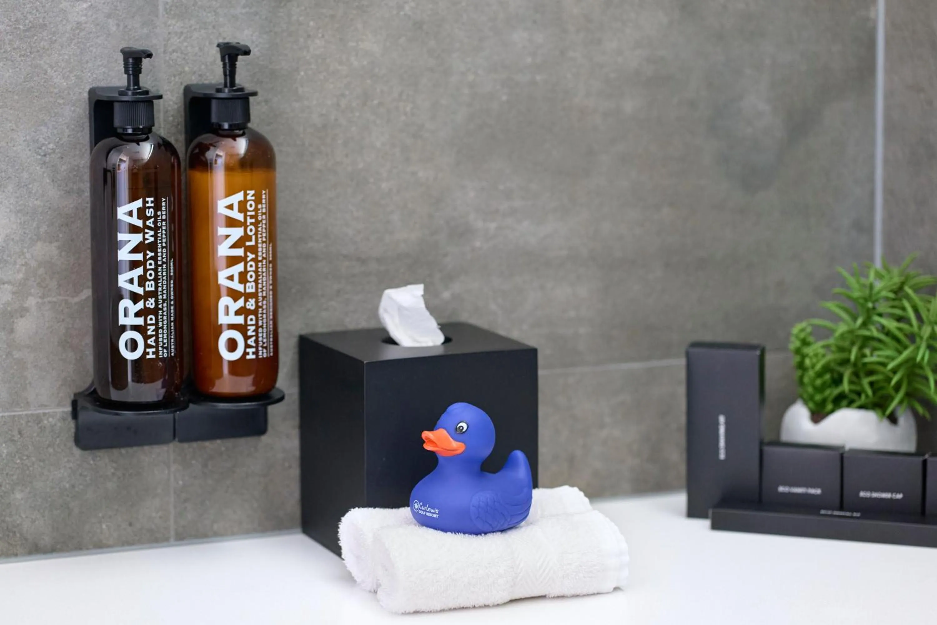 Bathroom in Accommodation @ Curlewis