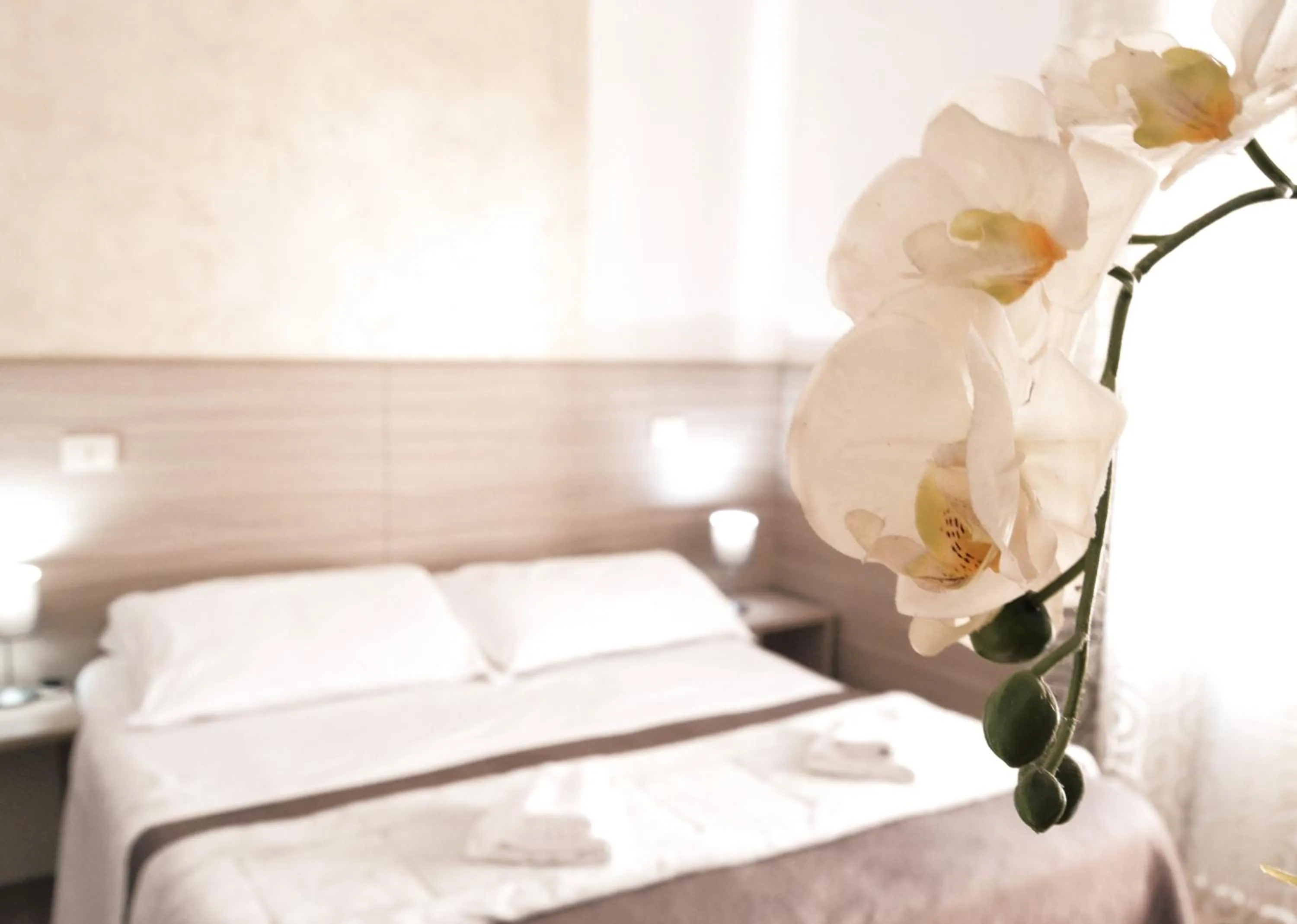 Bed in Hotel Colombo