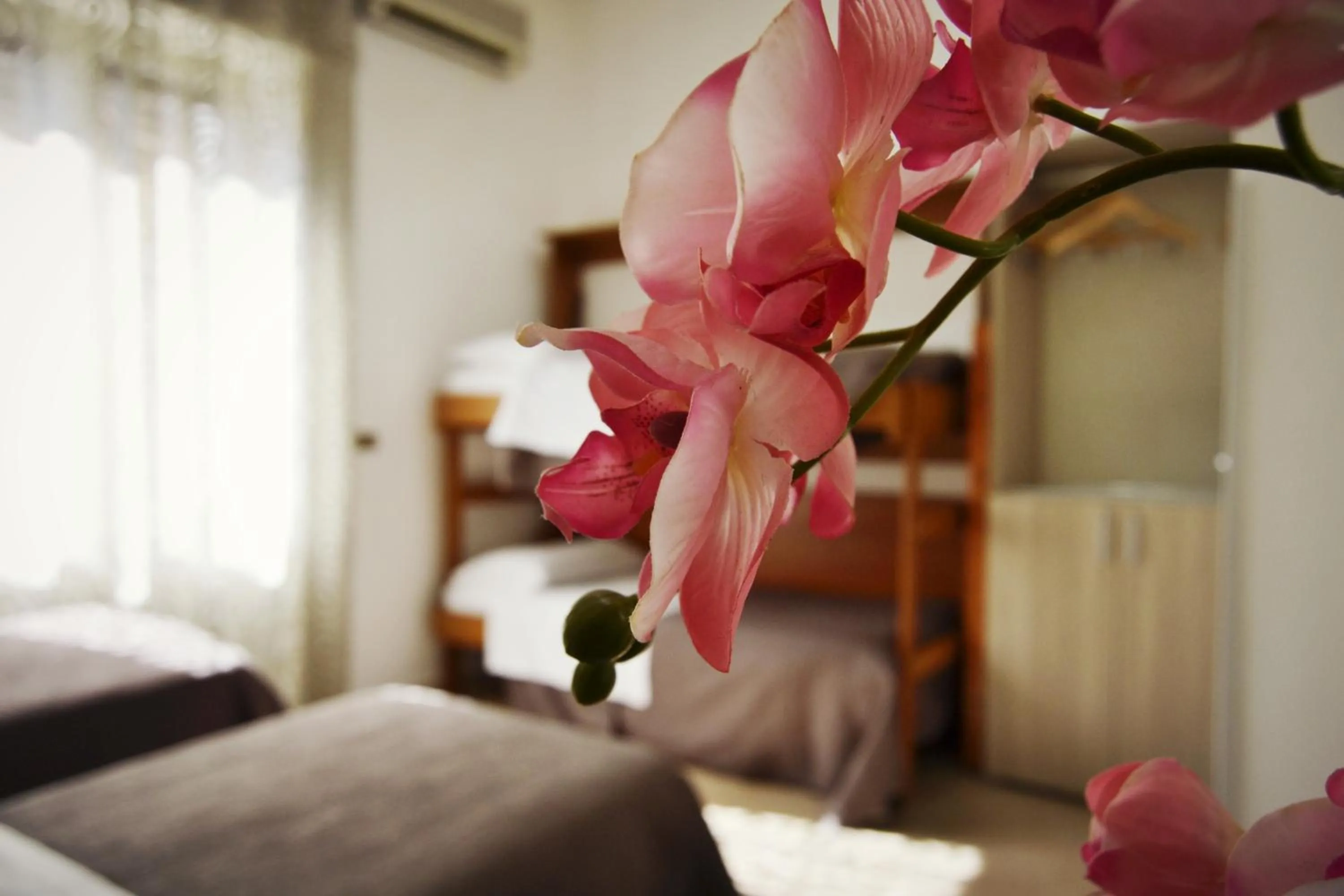 Photo of the whole room, Bed in Hotel Colombo