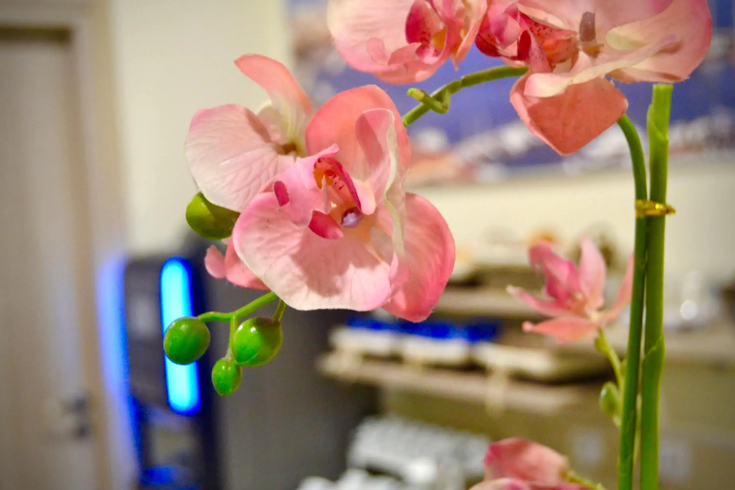 Lounge or bar in Hotel Colombo Lounge or bar in Hotel Colombo