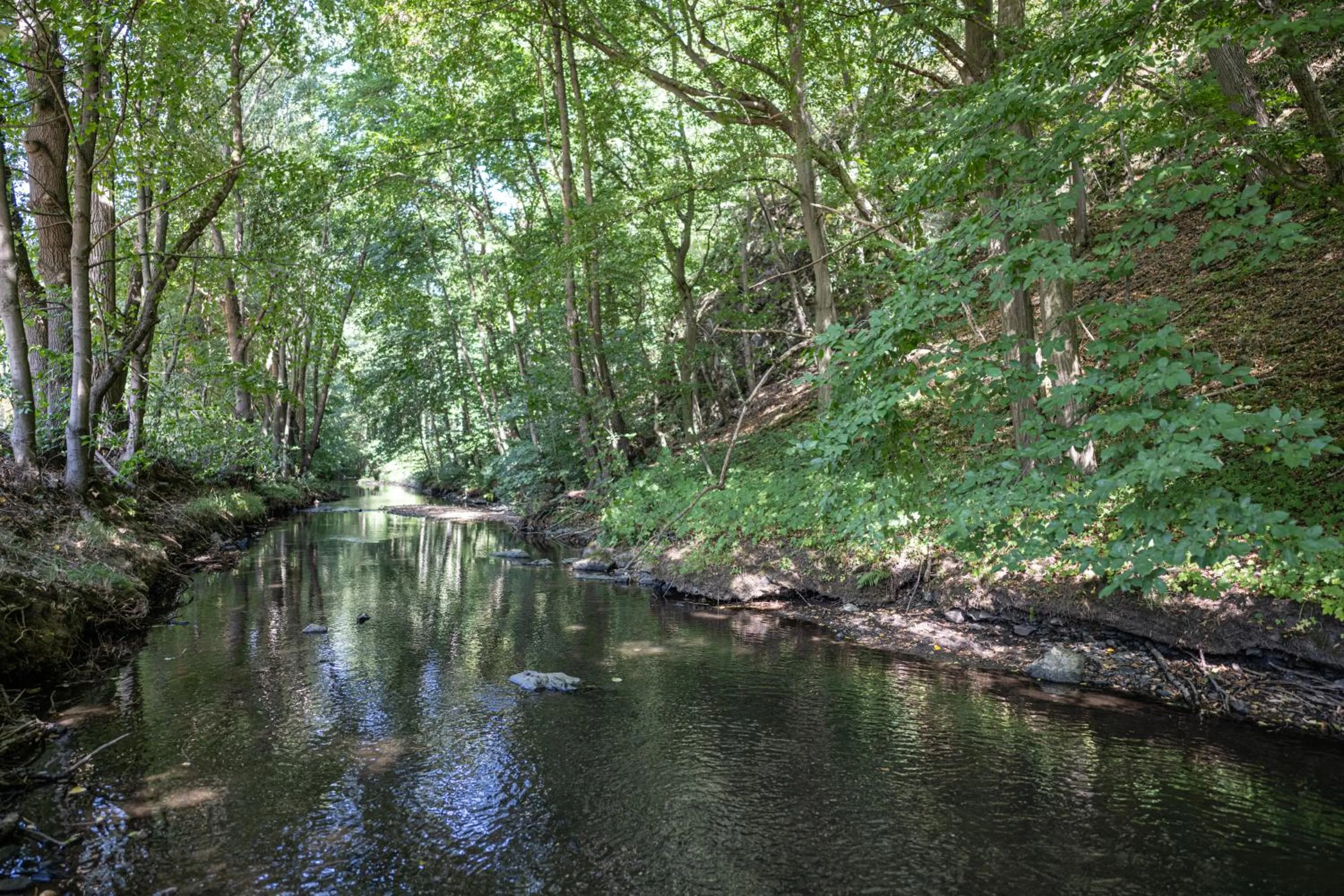 Nearby landmark in Thalmühle