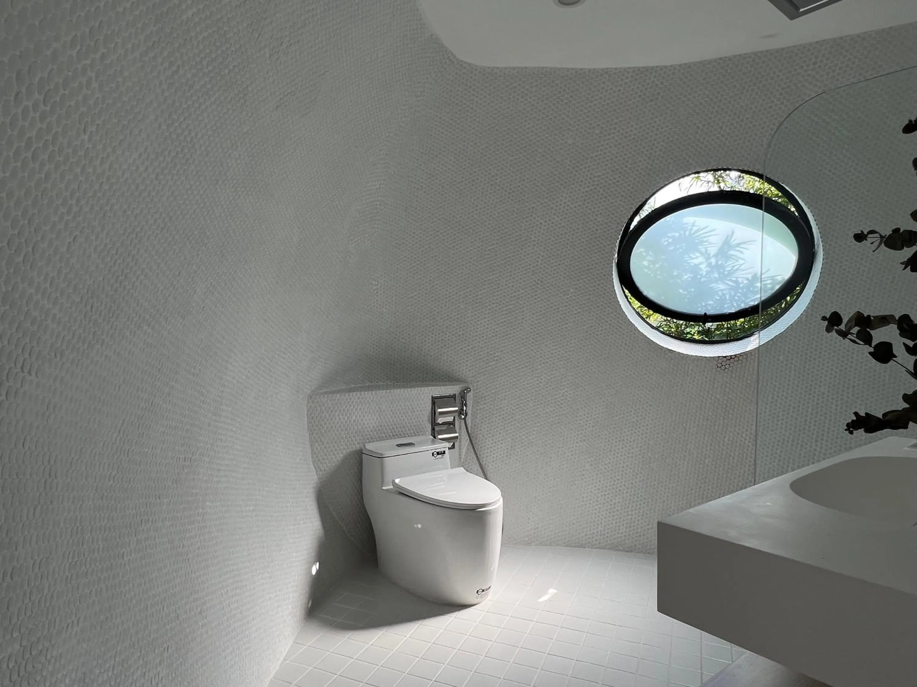 Toilet in Found Mansion