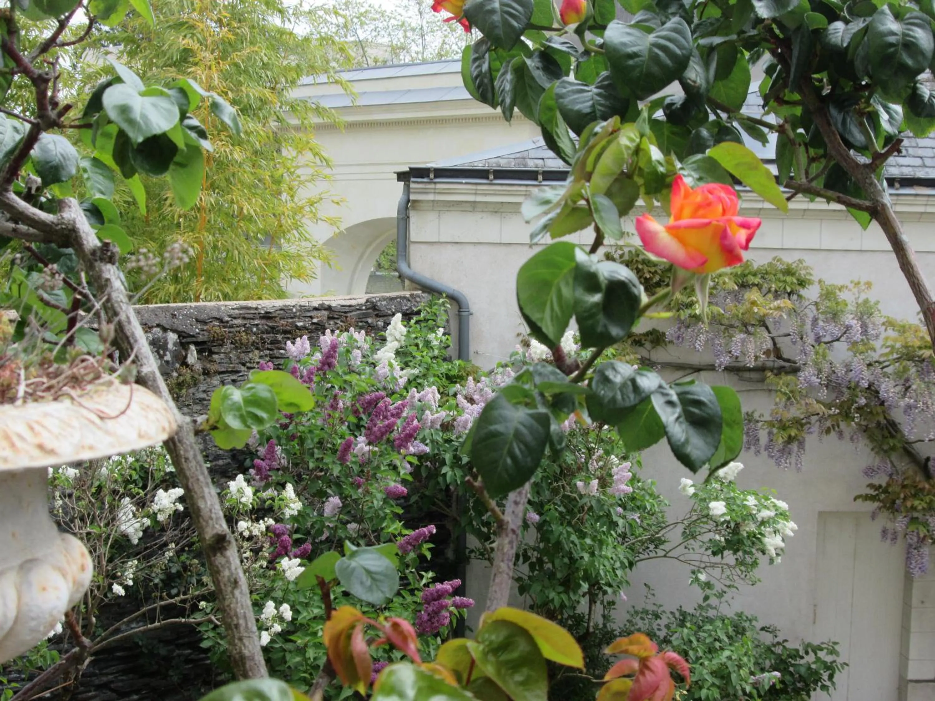 Garden view in Chambre d'Hôtes Marchand