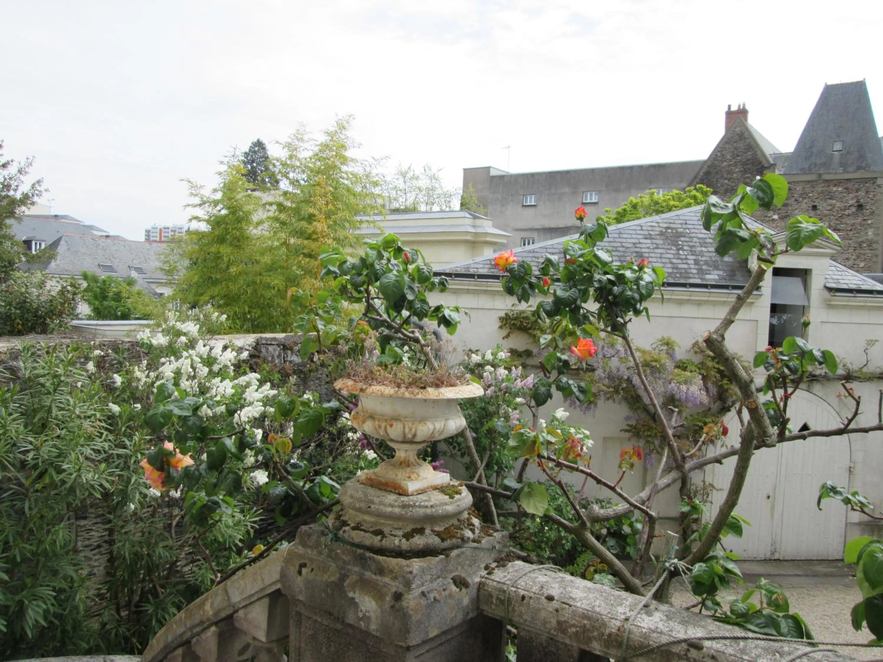 Garden view in Chambre d'Hôtes Marchand