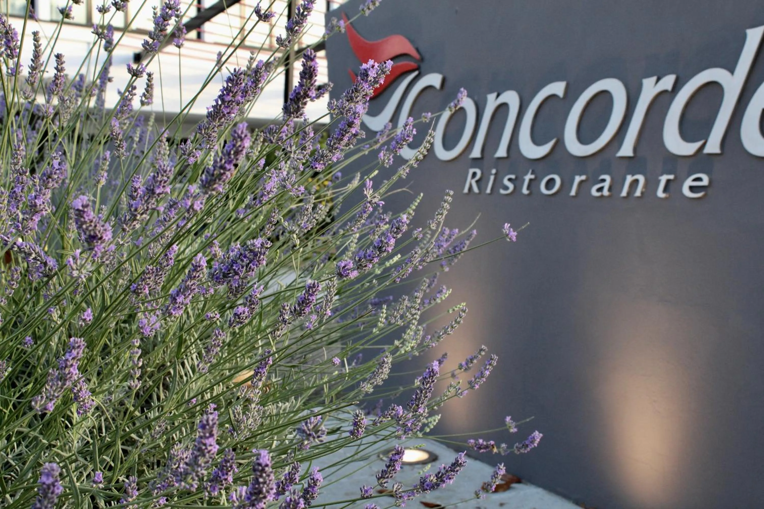 Restaurant/places to eat in Best Western Hotel Rome Airport