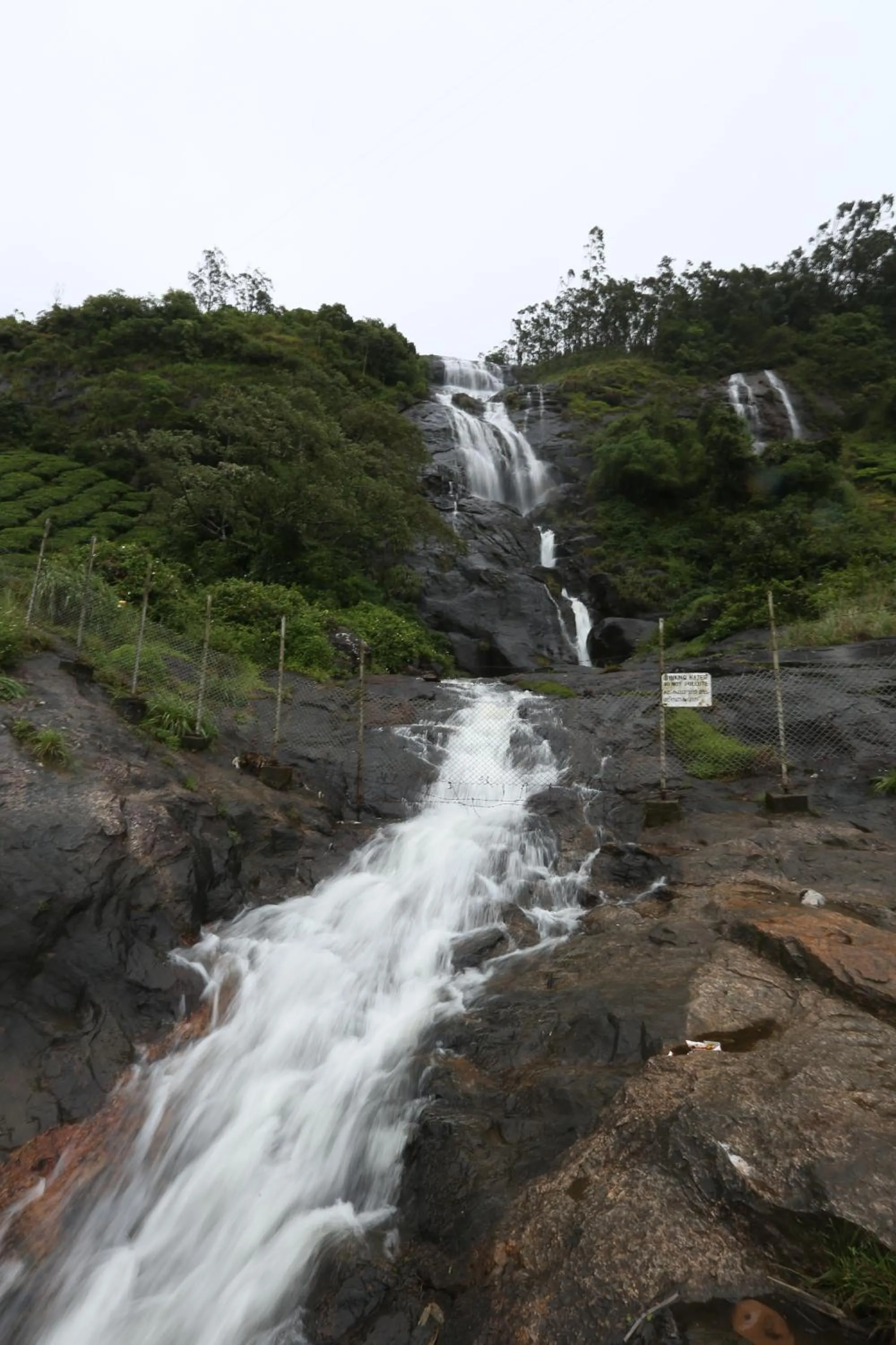 Other in SpiceTree Munnar