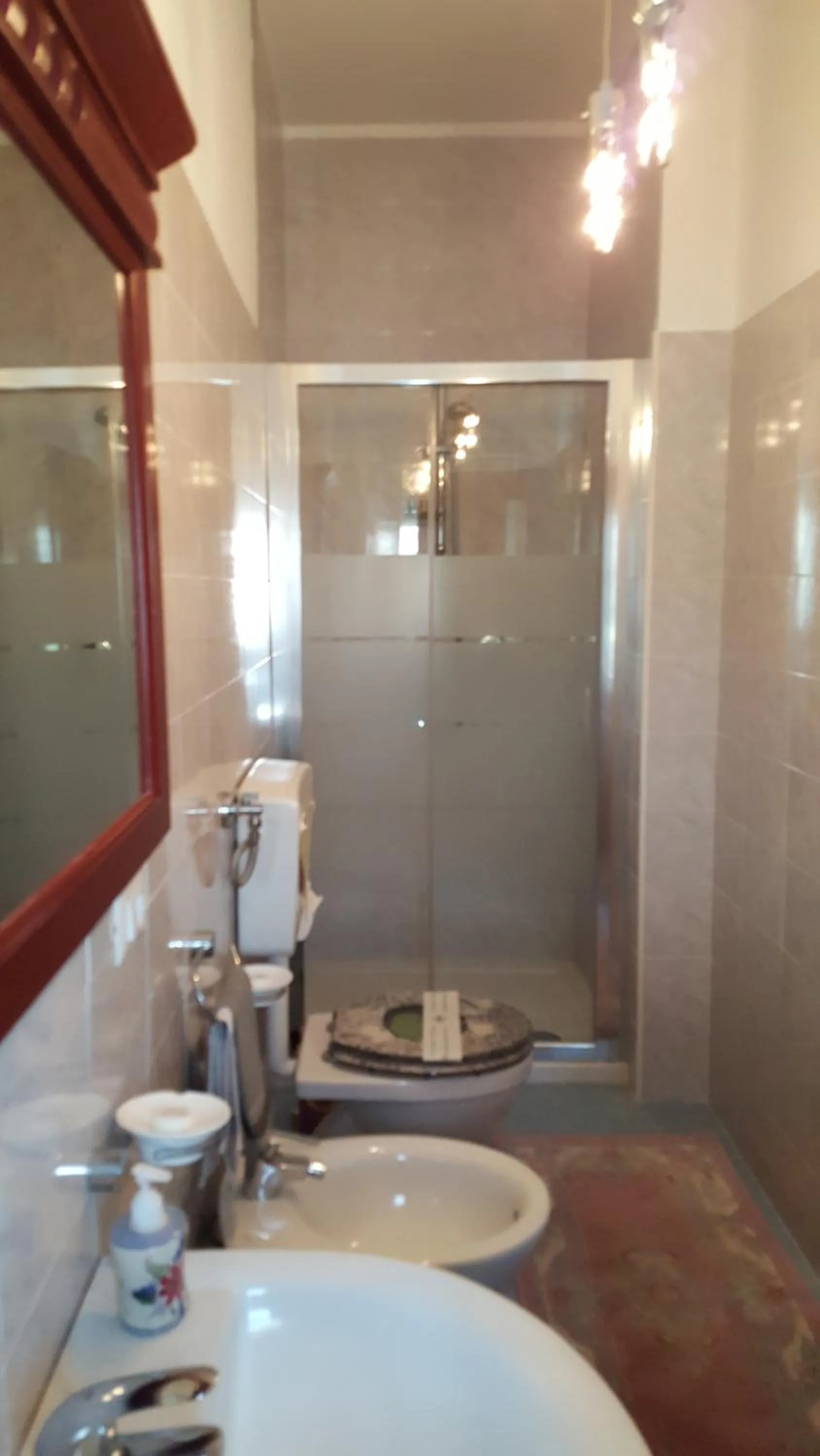 Shower in B&B United States of Europe