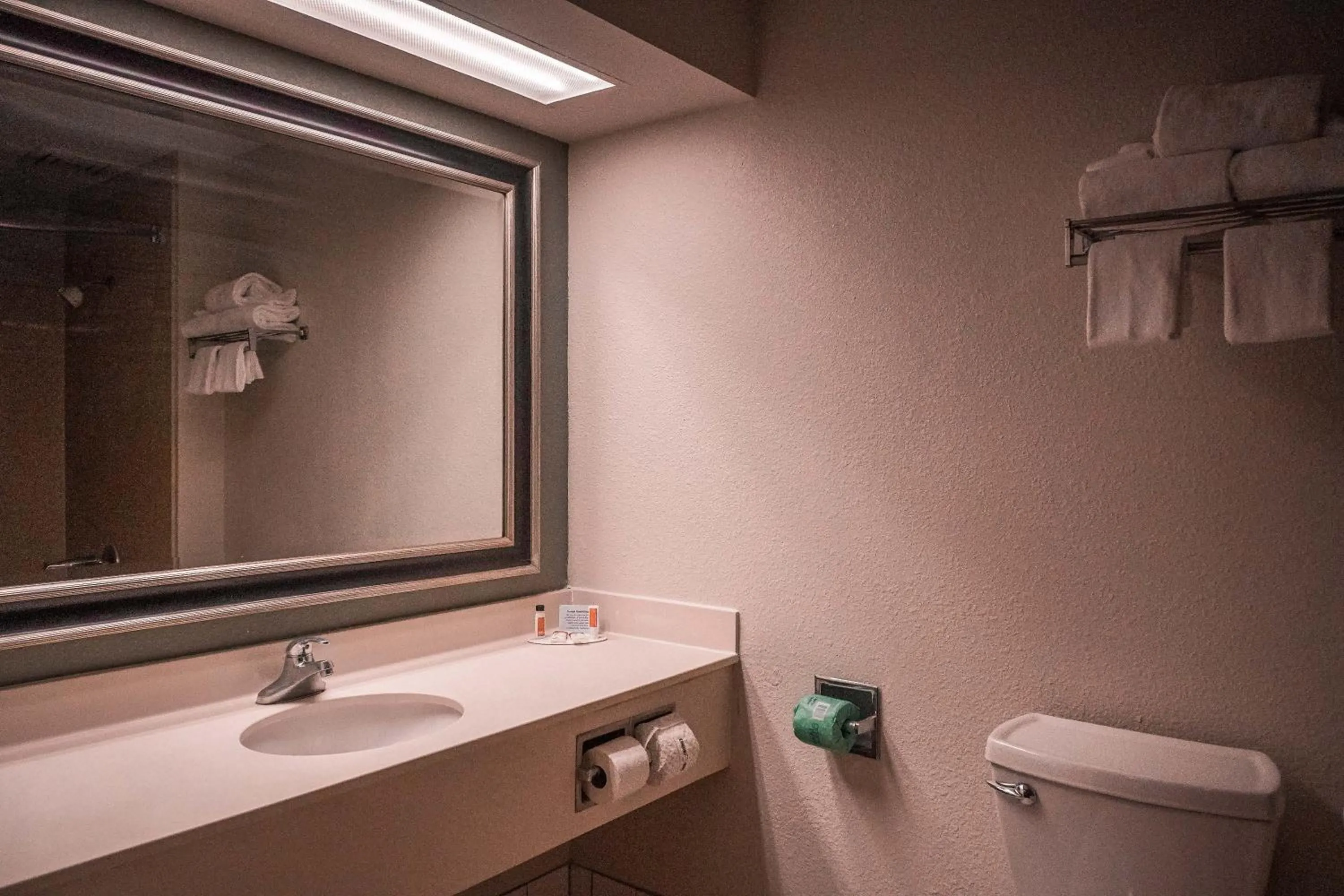 Bathroom in American Inn & suites